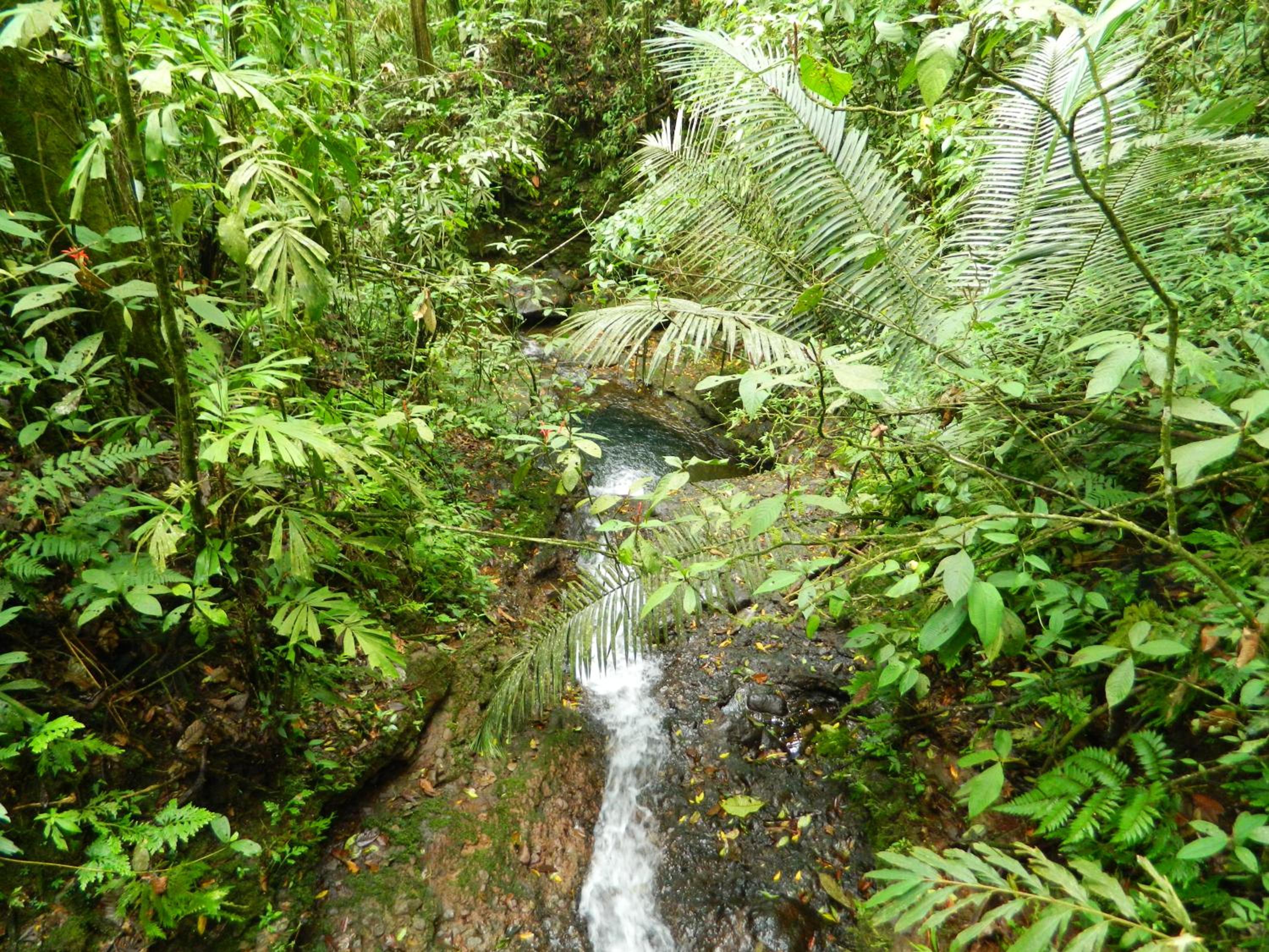 Photo 22
