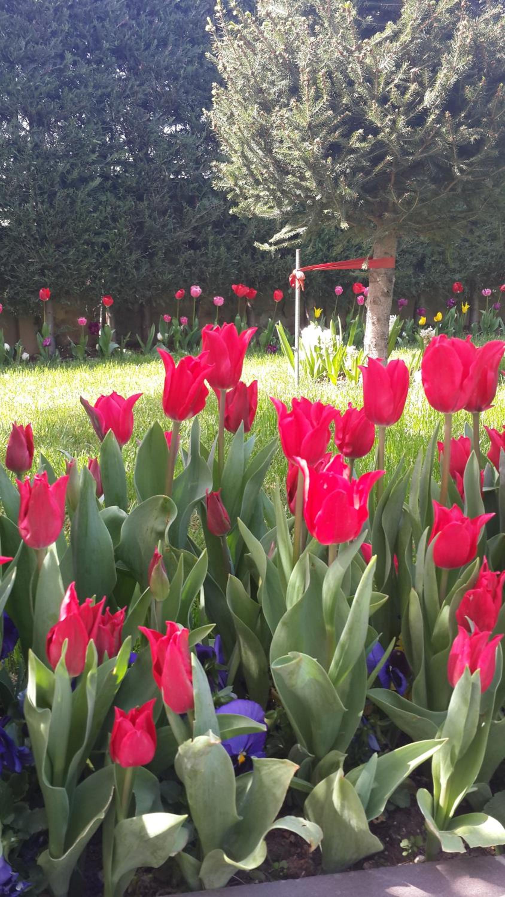 Pendik Marine Otel - Image 19