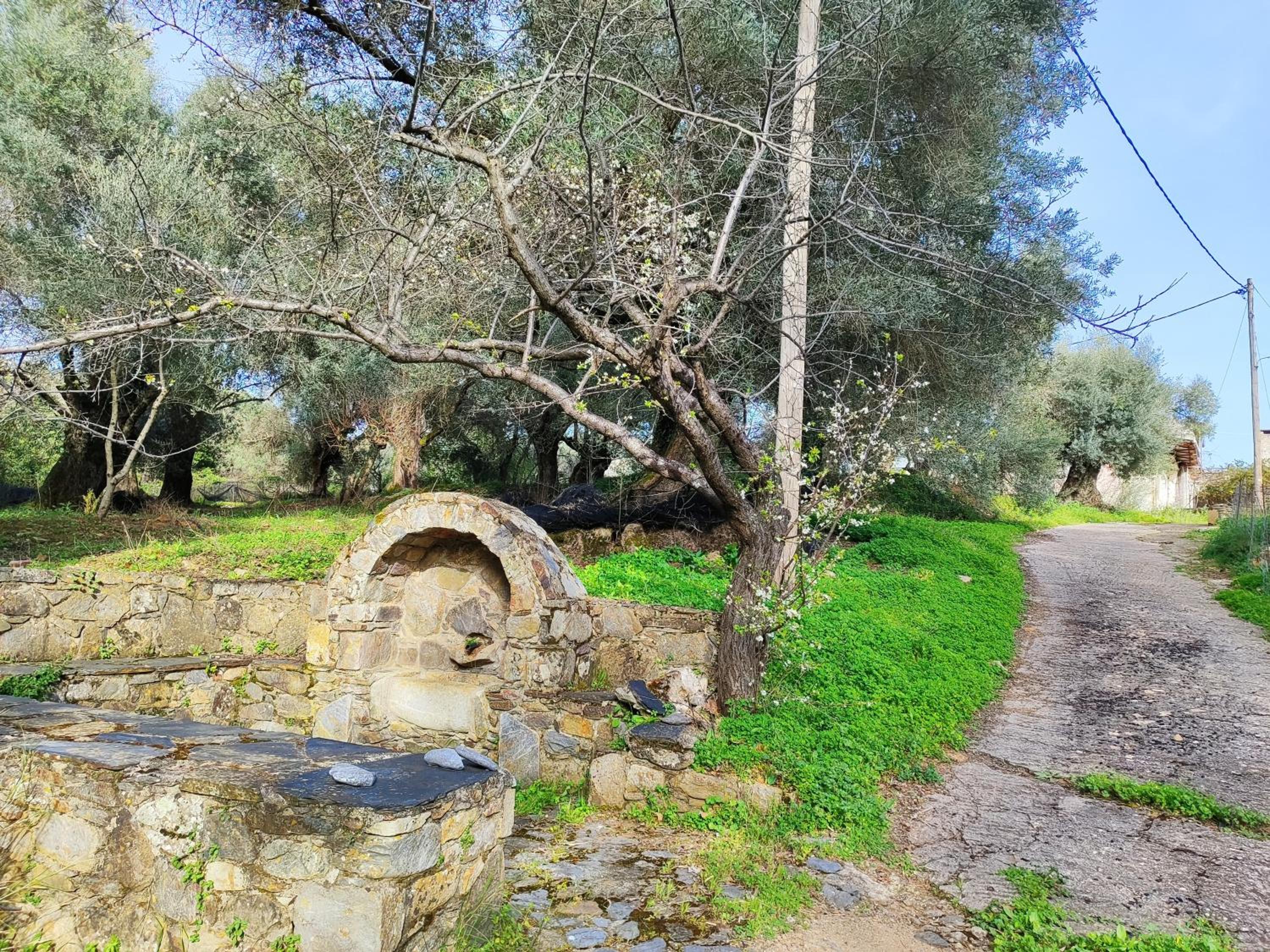Nature House Vlatos