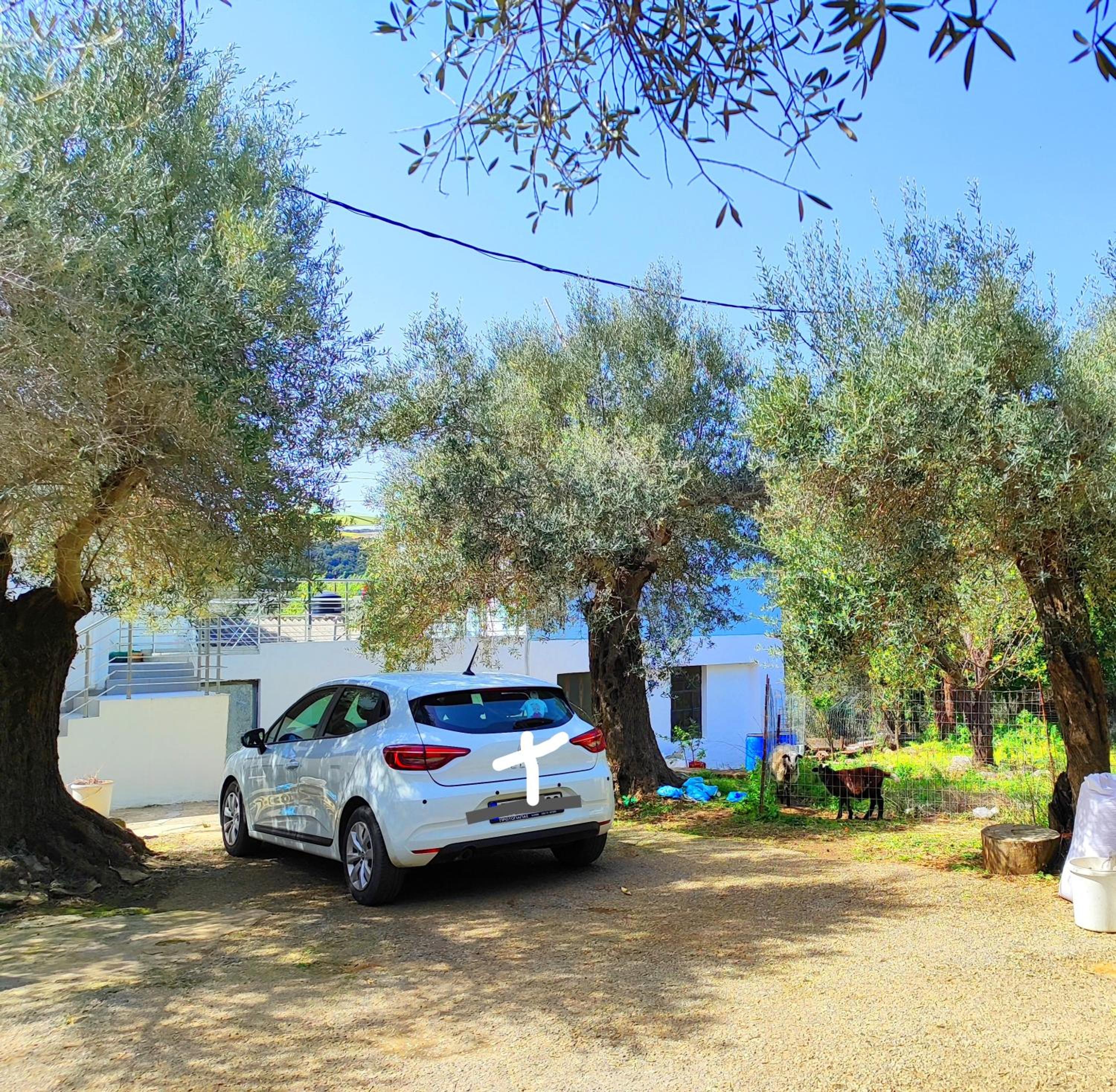 Nature House Vlatos