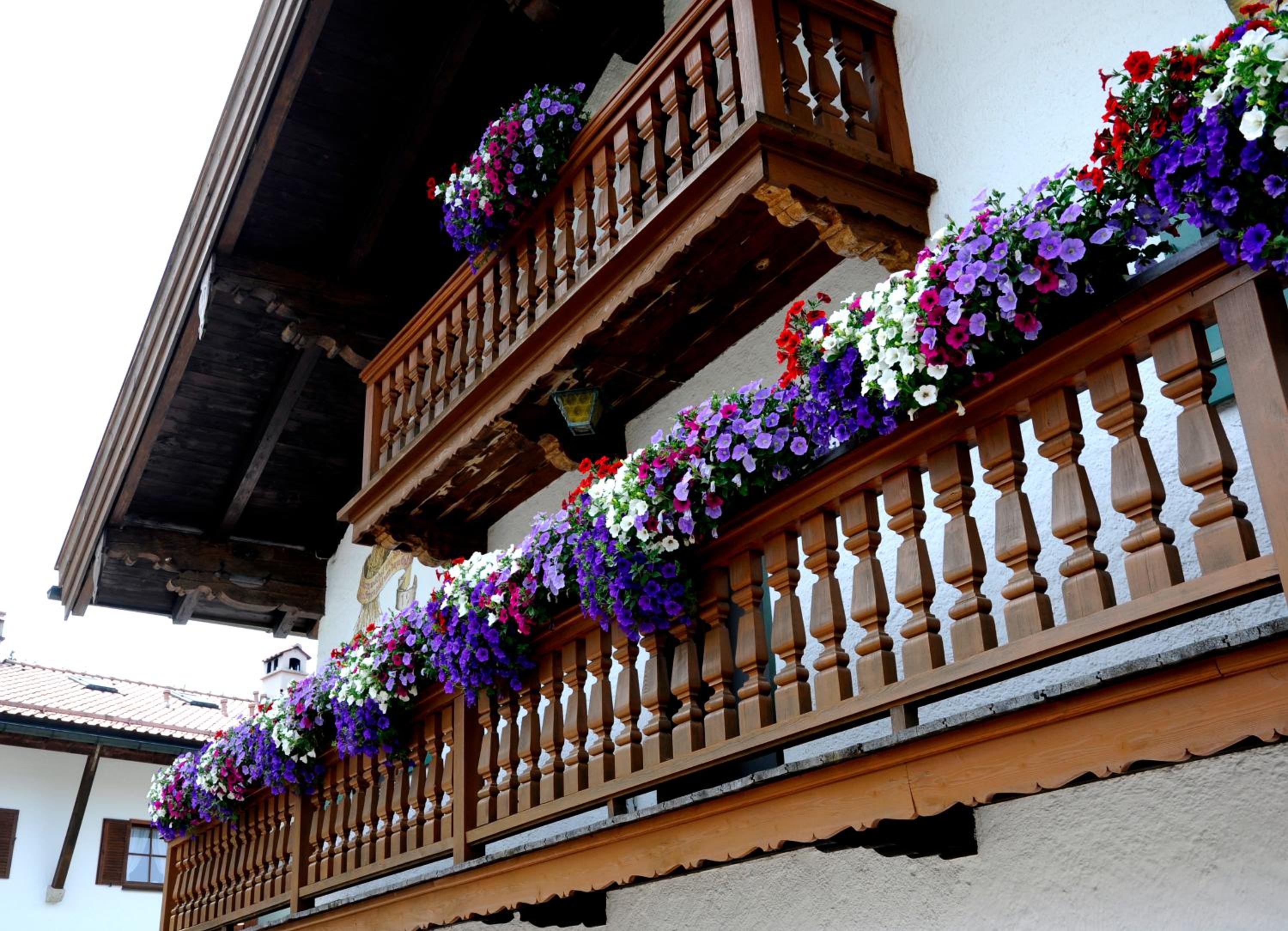 Gästehaus Gritscher