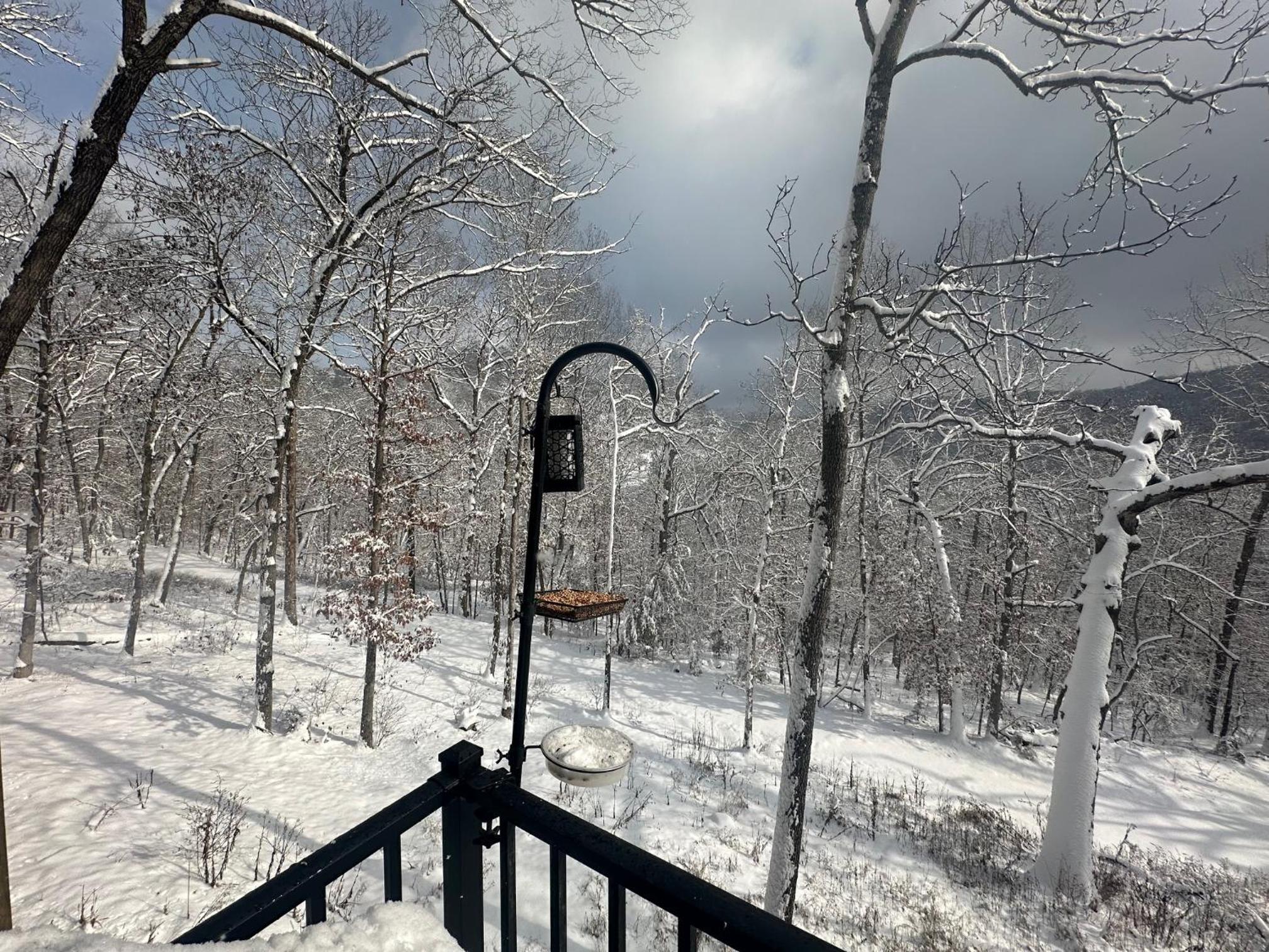 Firefly1 - luxury treehouse, hot tub, lake access