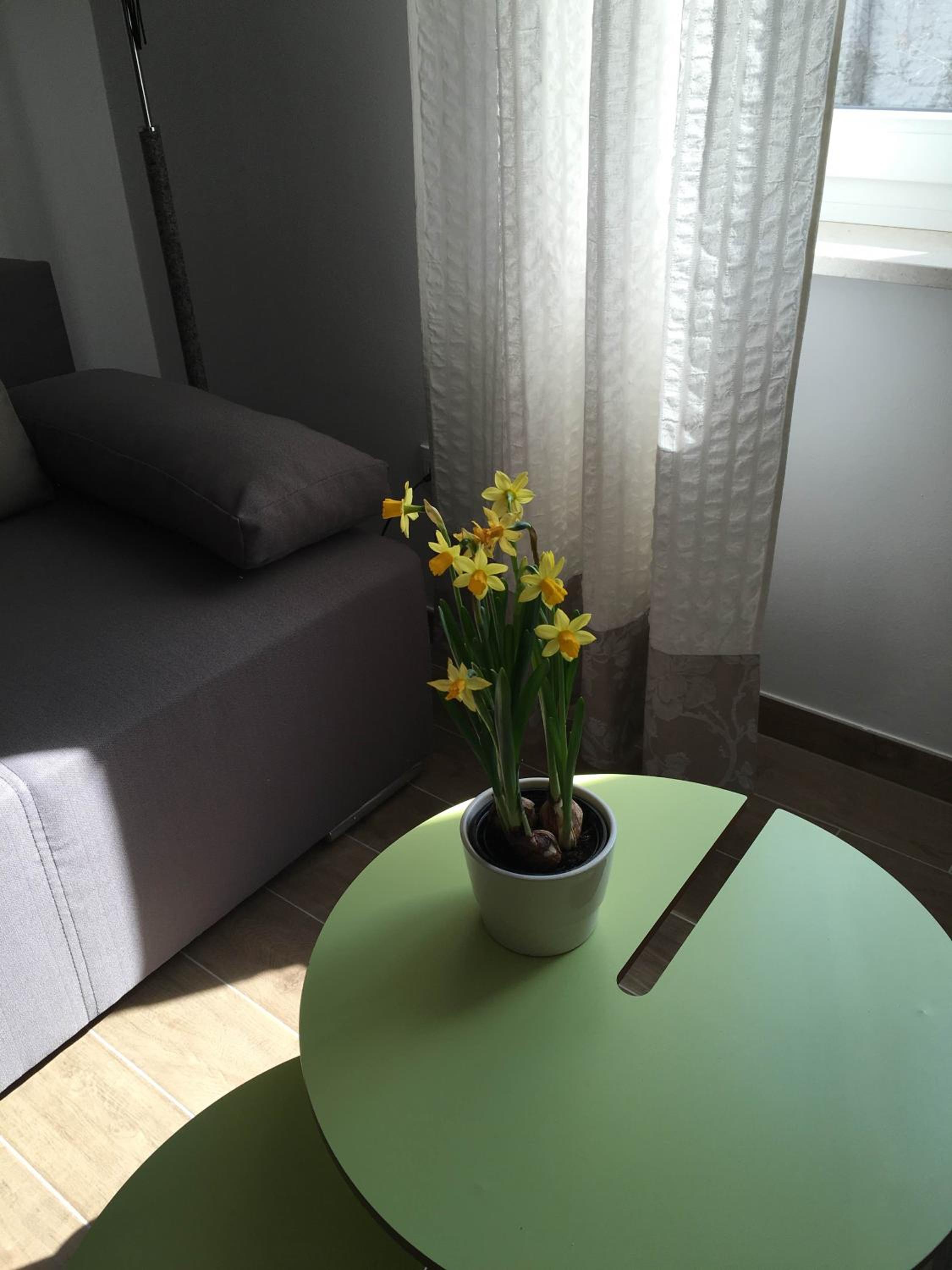 Regina Apartment en Split — lounge