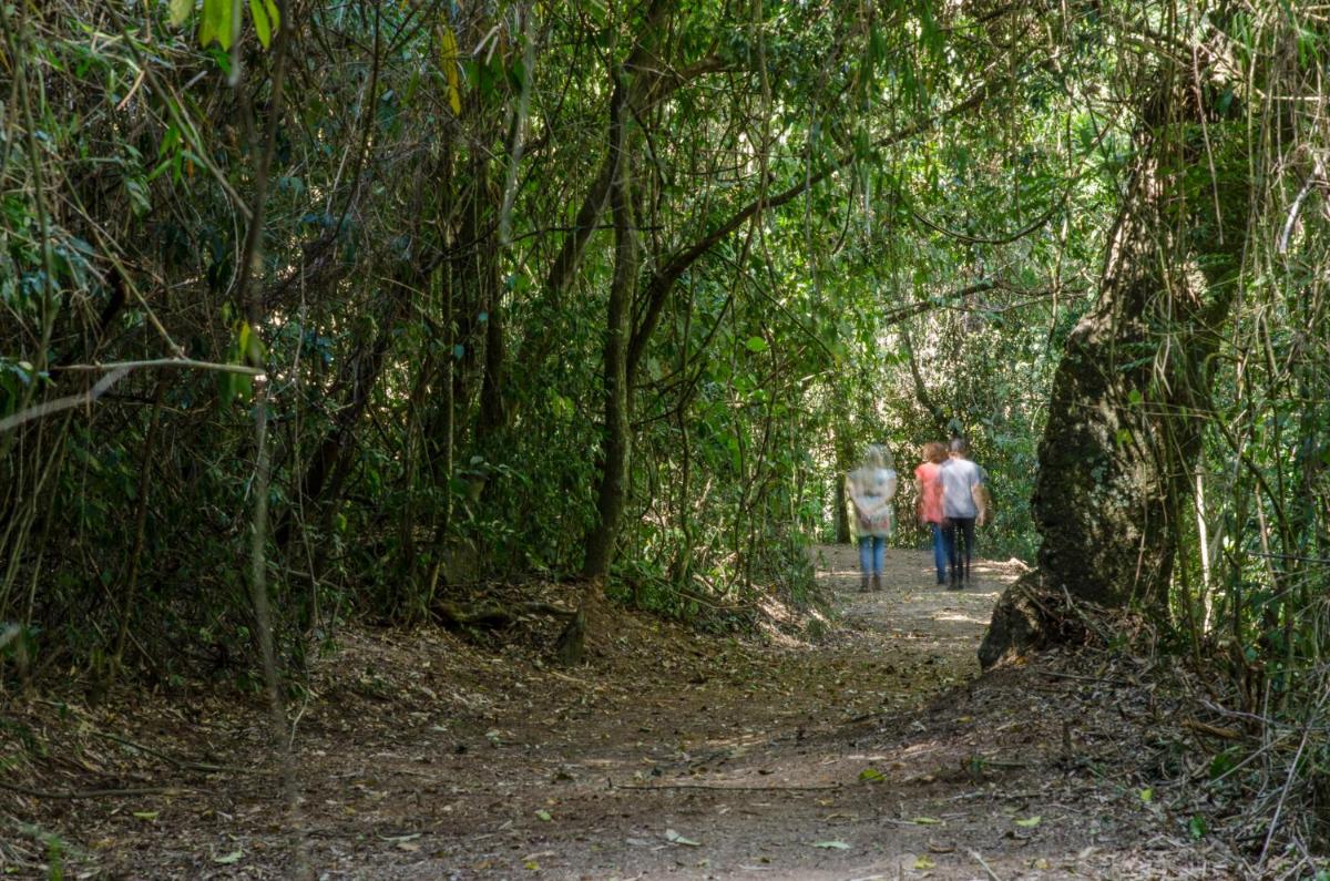 children's play area