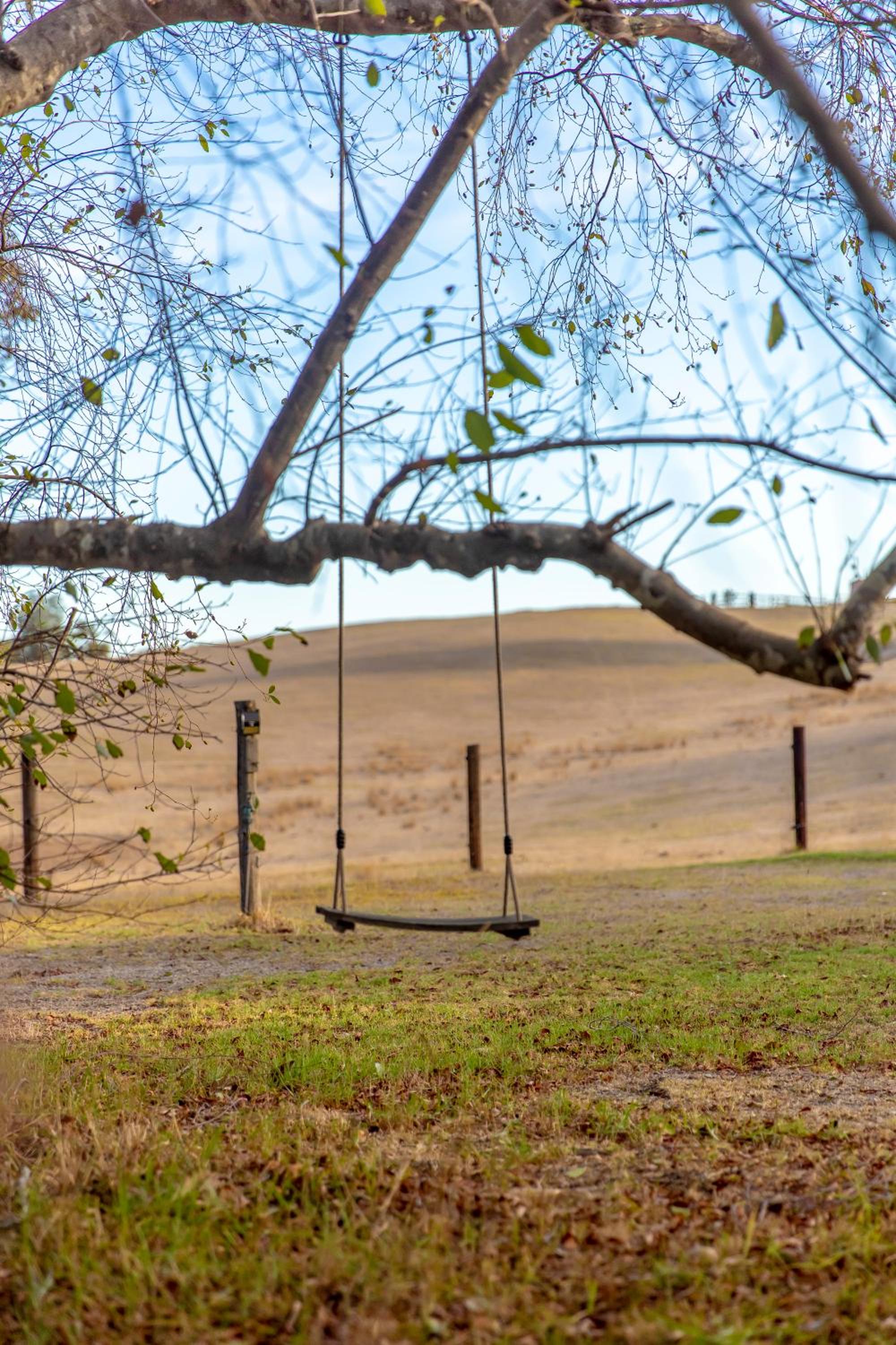 Luminous Pond Farm Wine Country Hahndorf