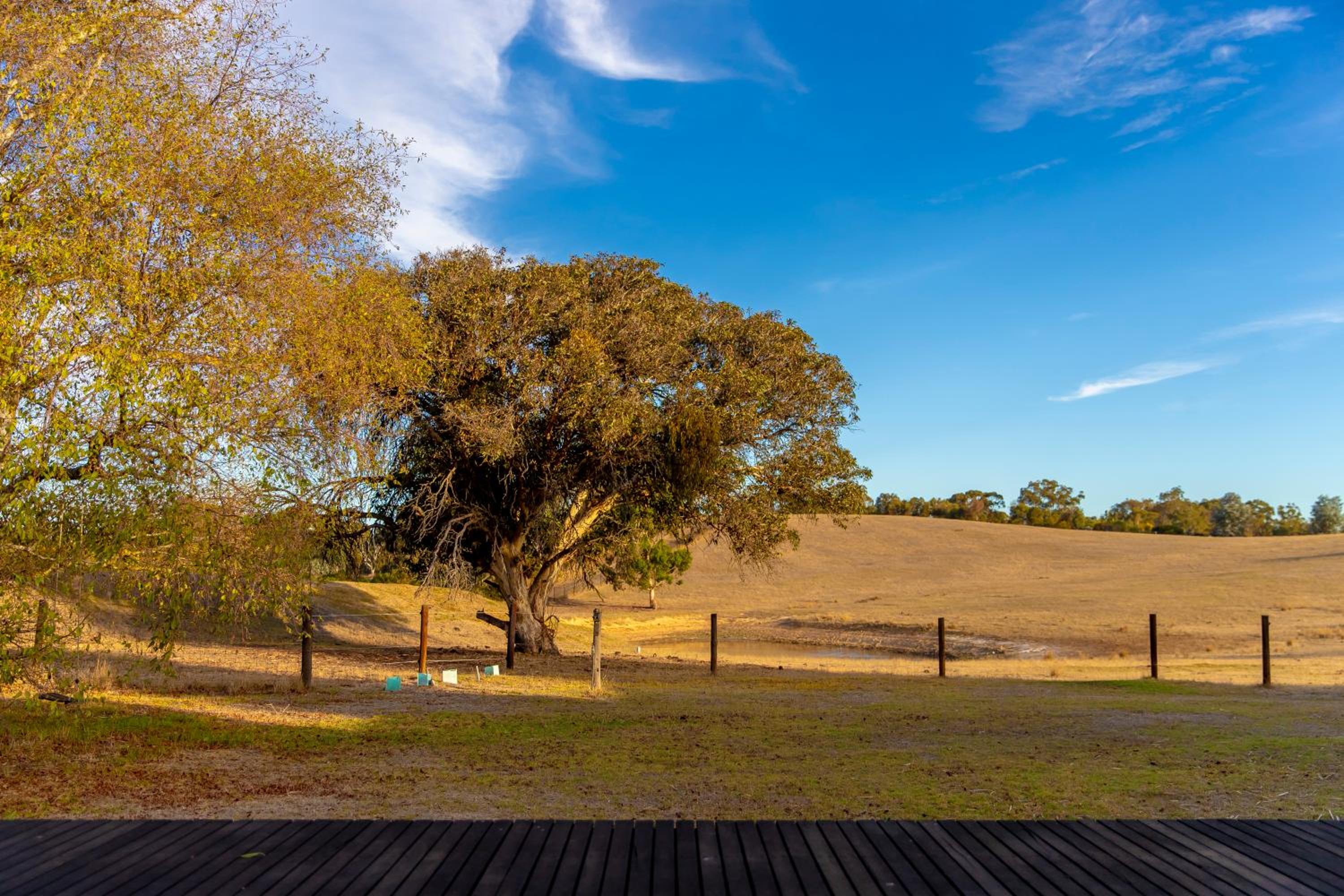 Luminous Pond Farm Wine Country Hahndorf