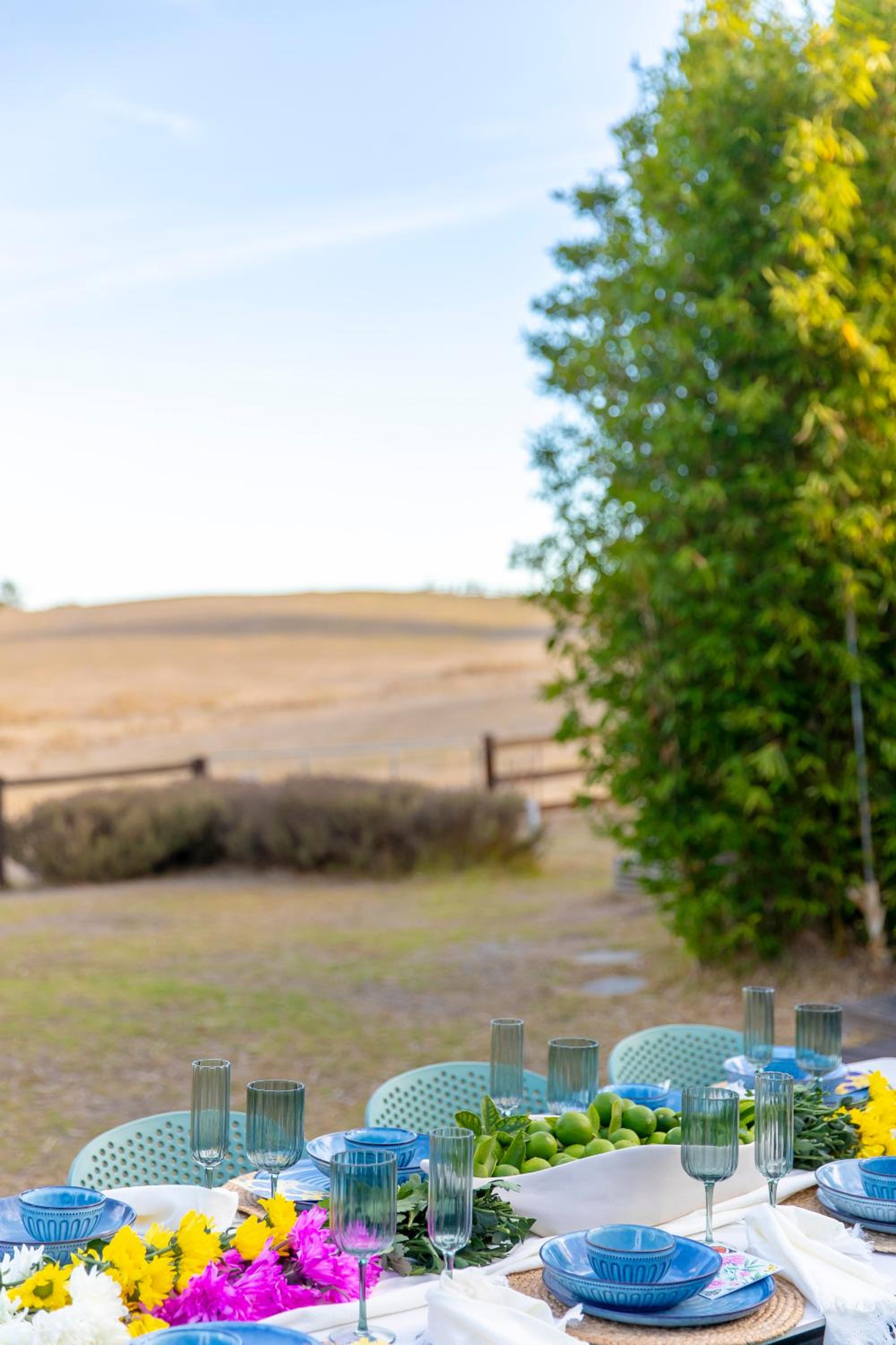 Luminous Pond Farm Wine Country Hahndorf