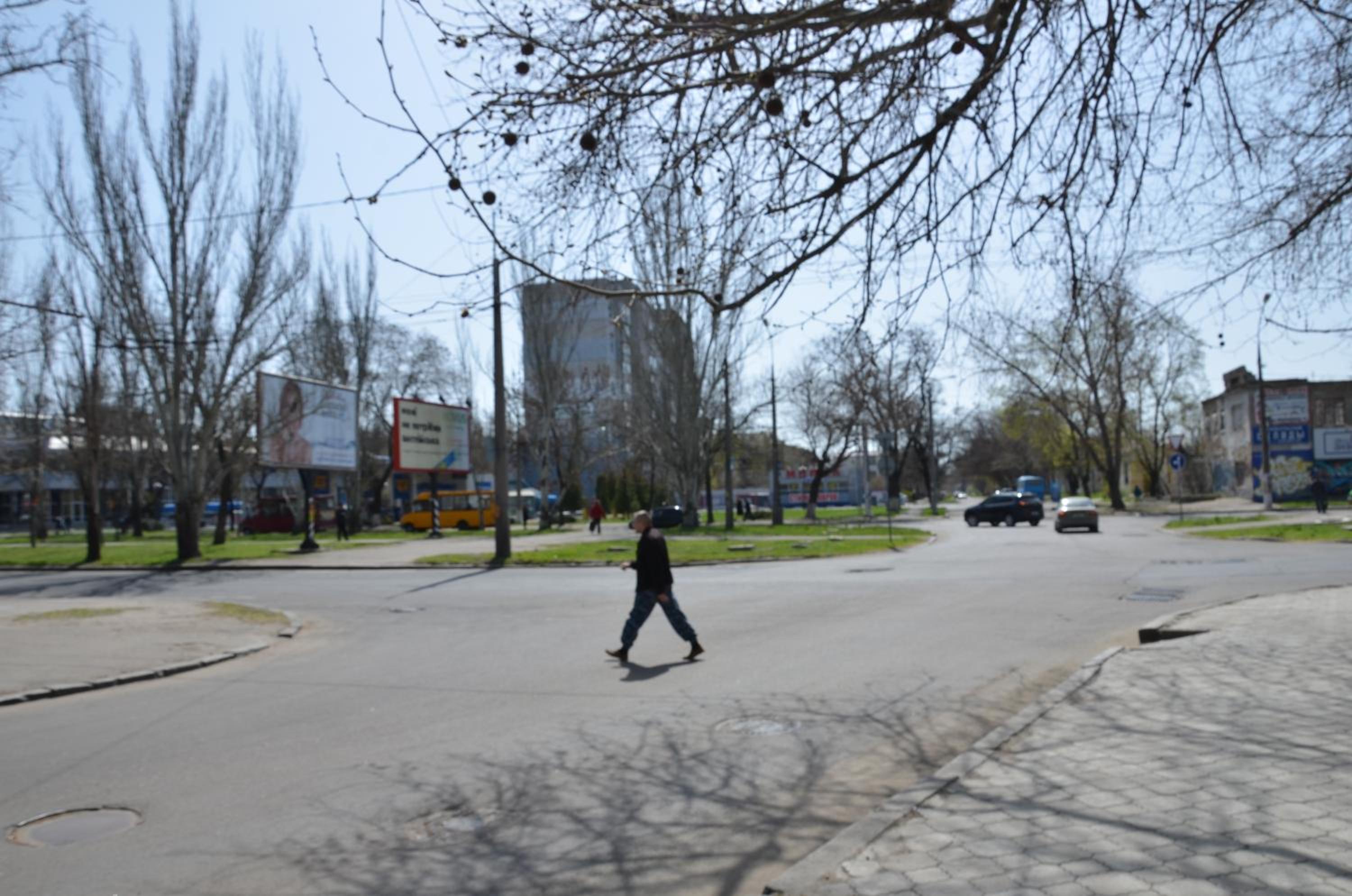 Photo 42