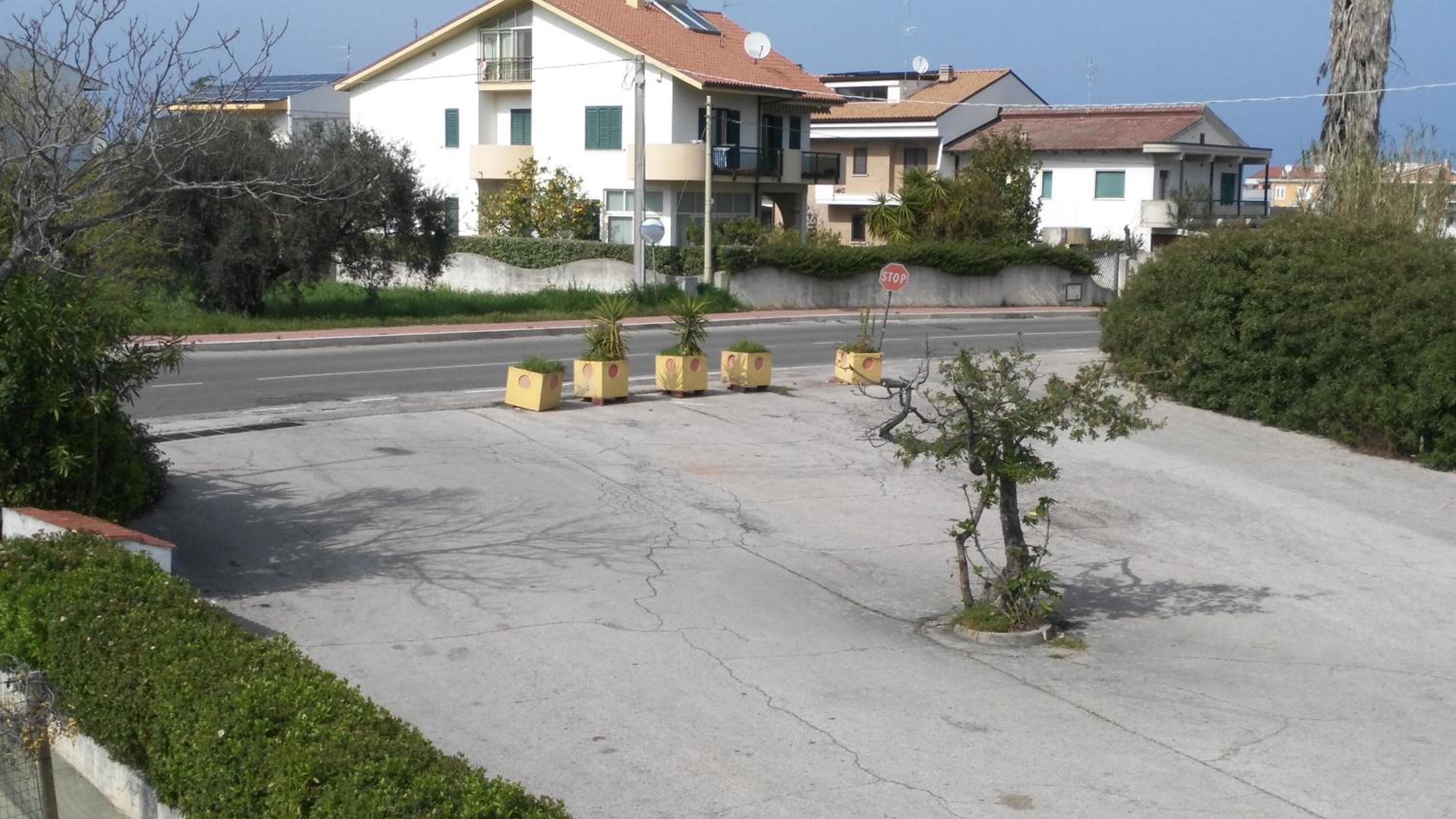 MSCamere view 2