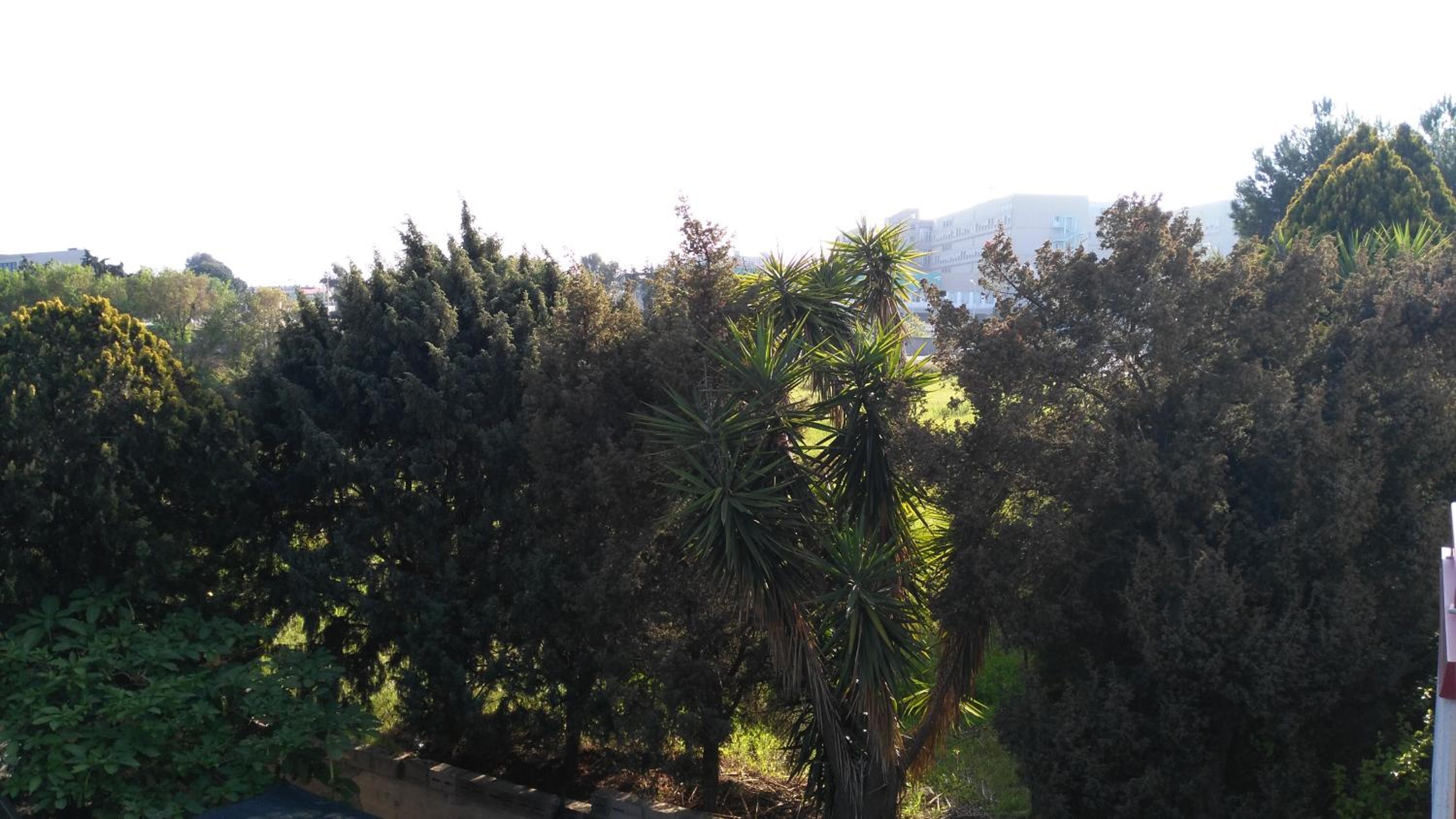MSCamere view 5