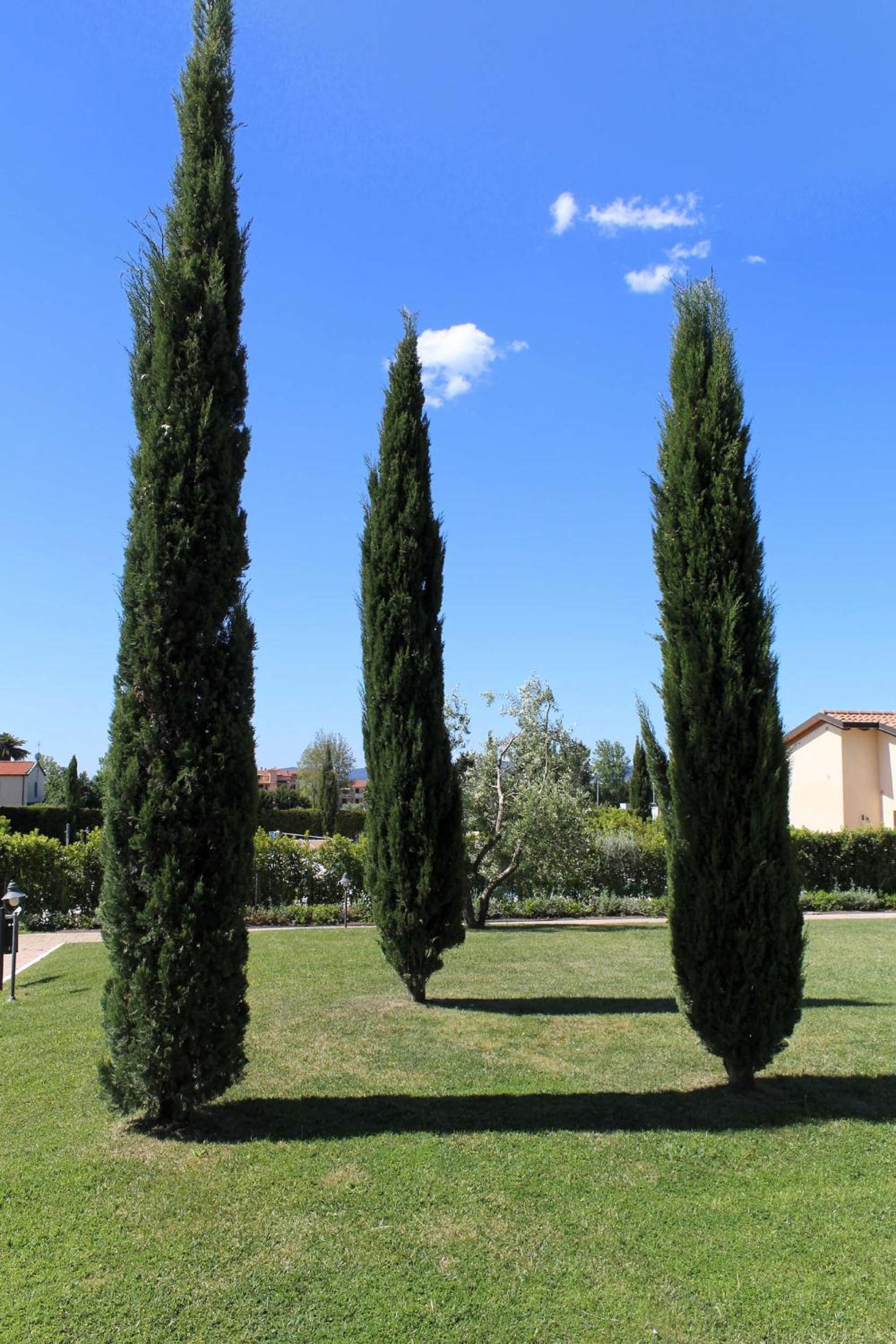 children's play area