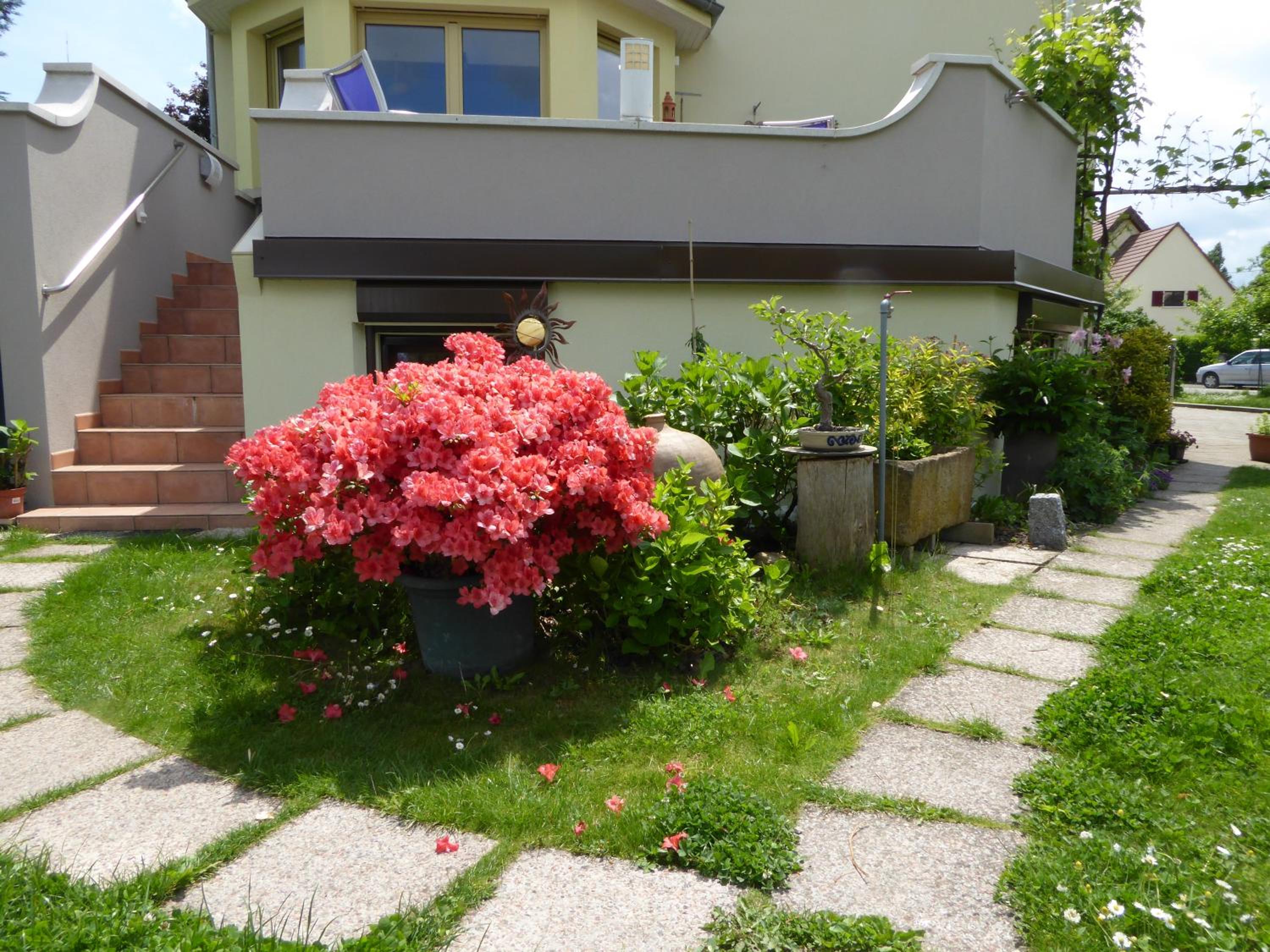 Photo 26