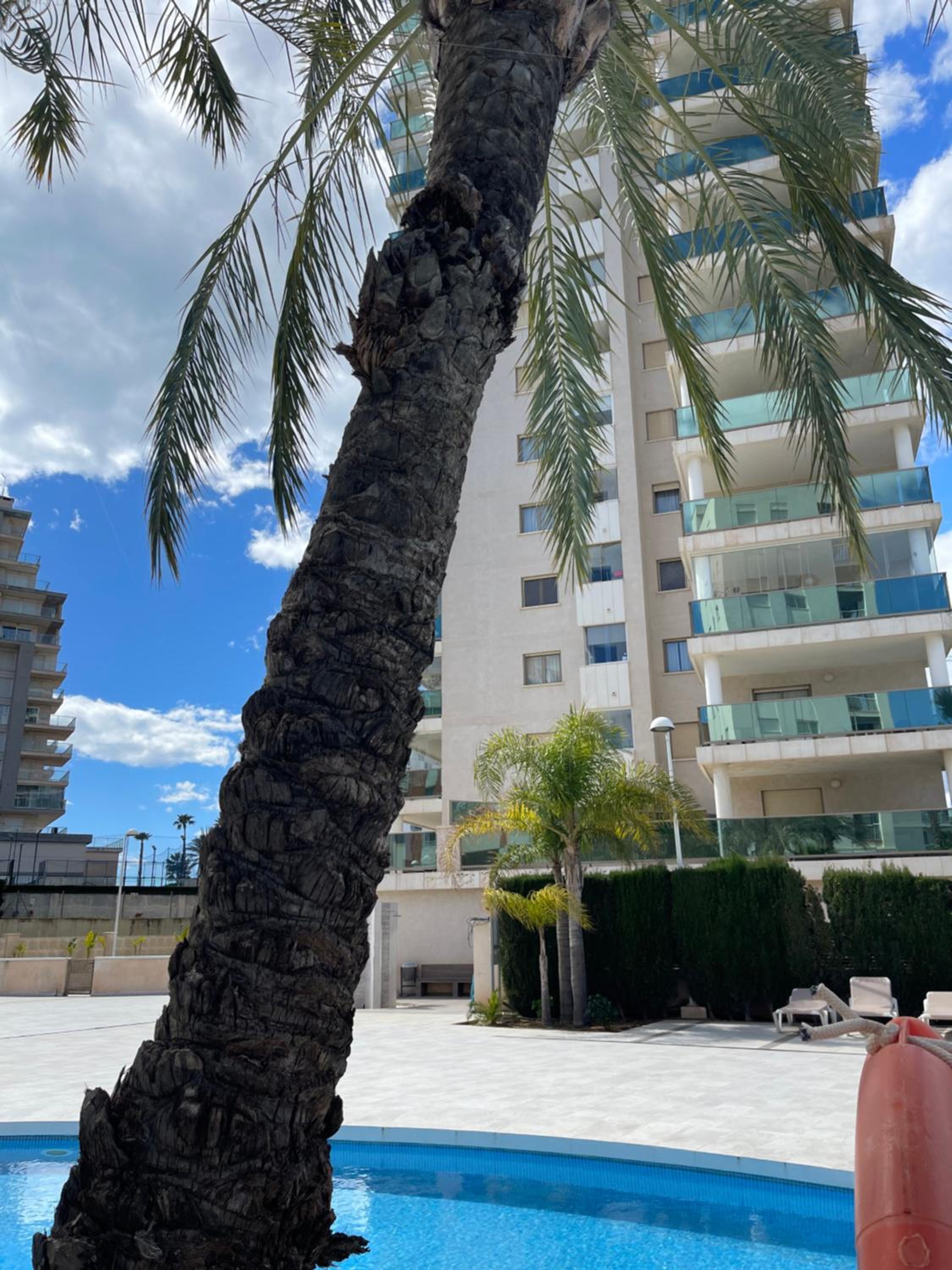 Apartamento Larimar 2 habitaciones , Piscina , Parking y vistas a la laguna