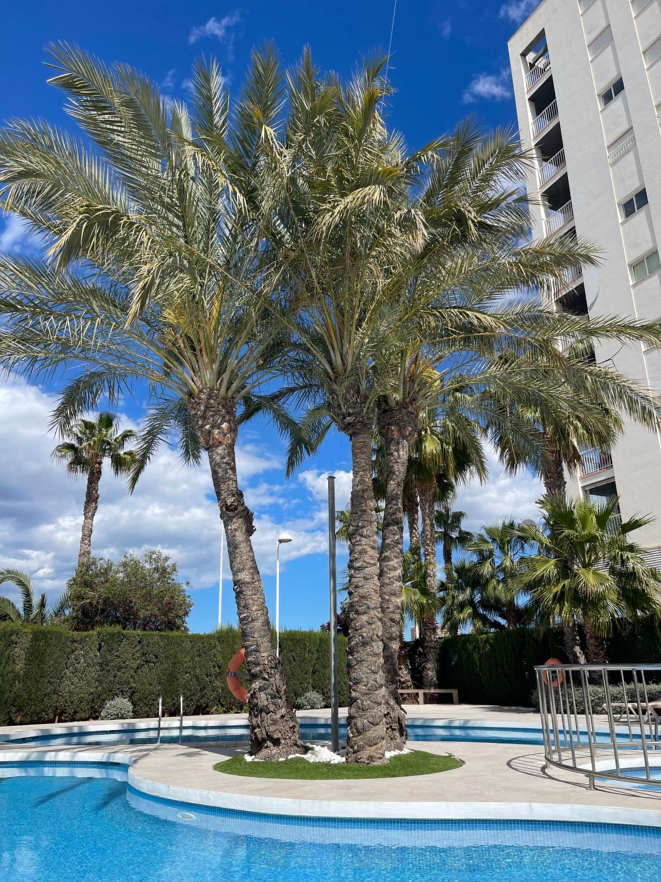 Apartamento Larimar 2 habitaciones , Piscina , Parking y vistas a la laguna