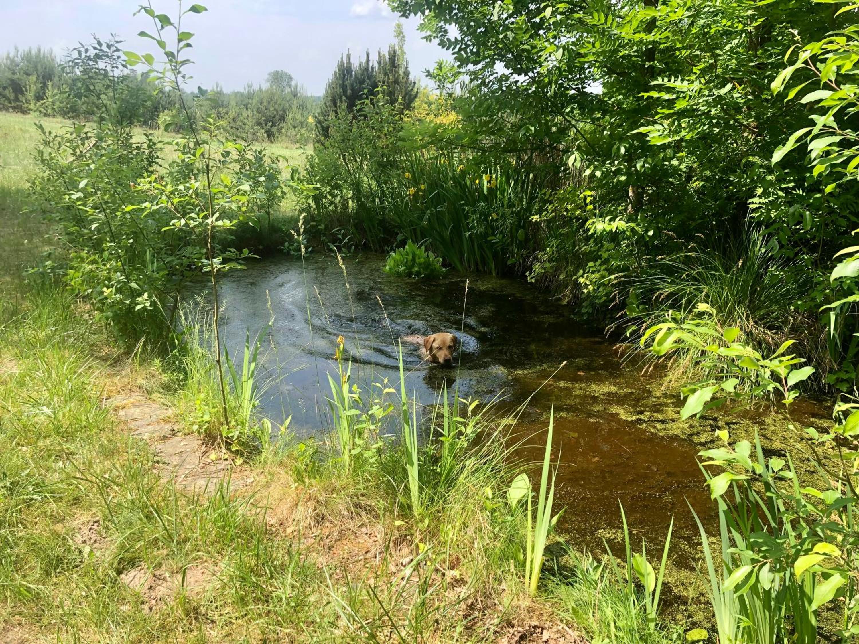 Photo 46
