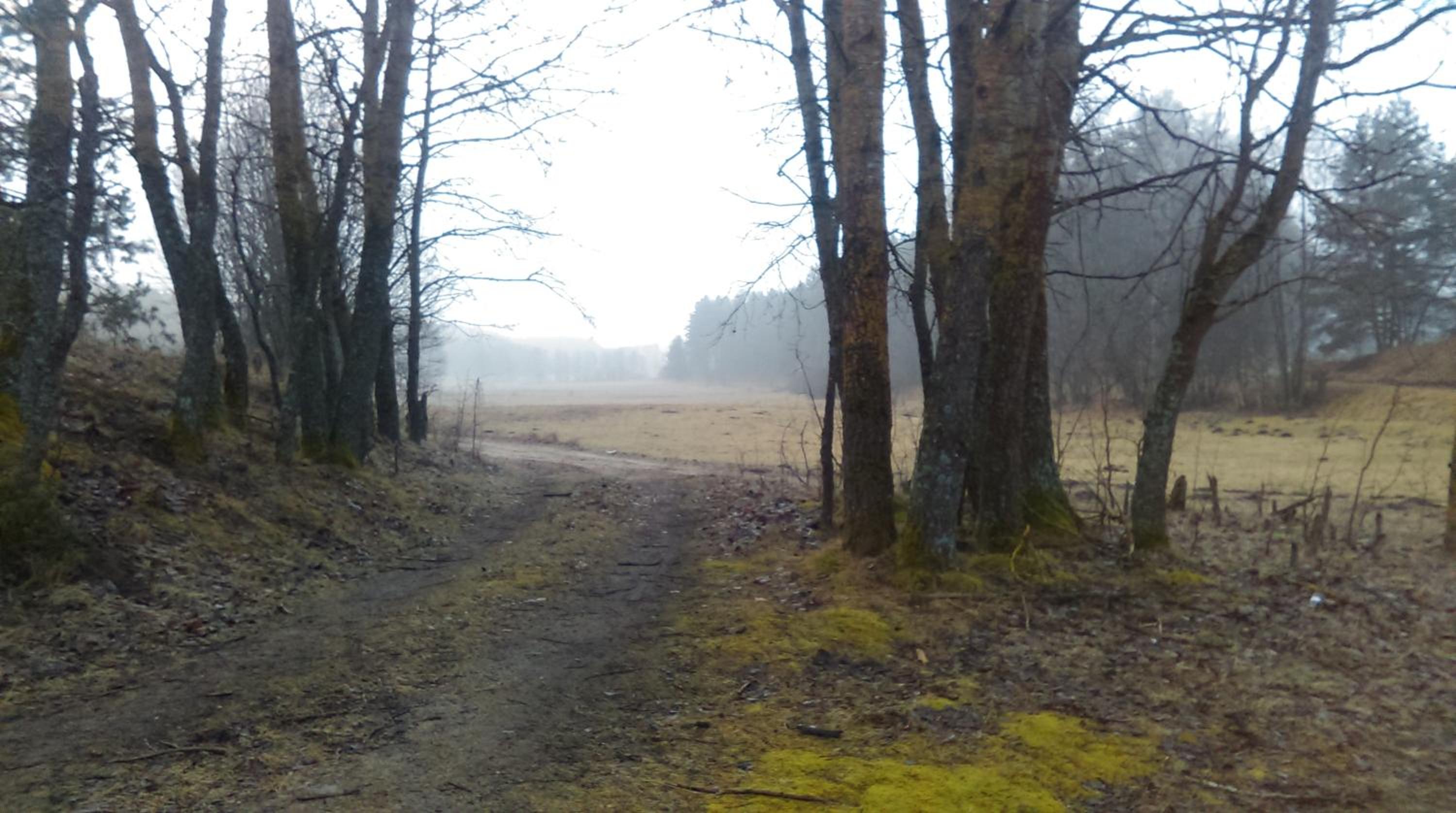 Photo 48