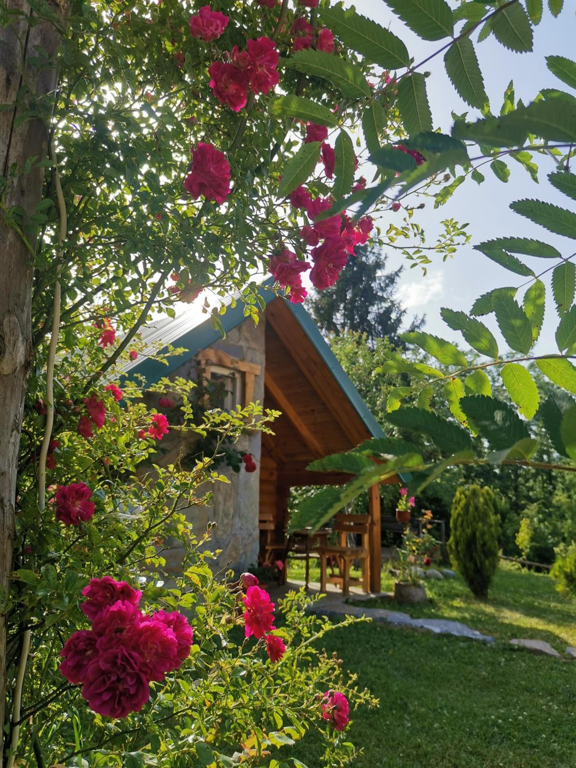 Gazela Bungalov 1, photo 12