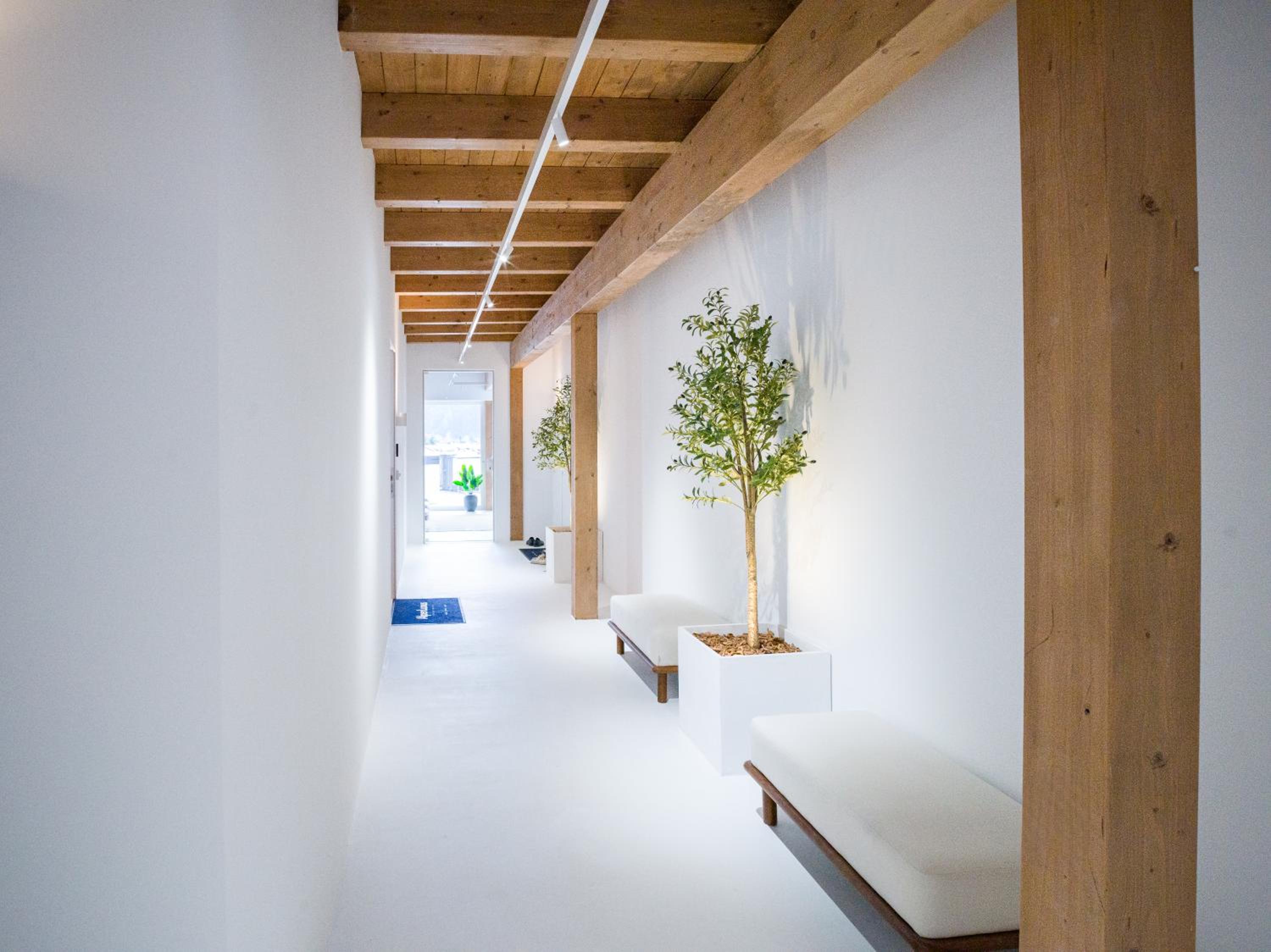 PENTHOUSE N`1 - AlpenLuxus Collection
