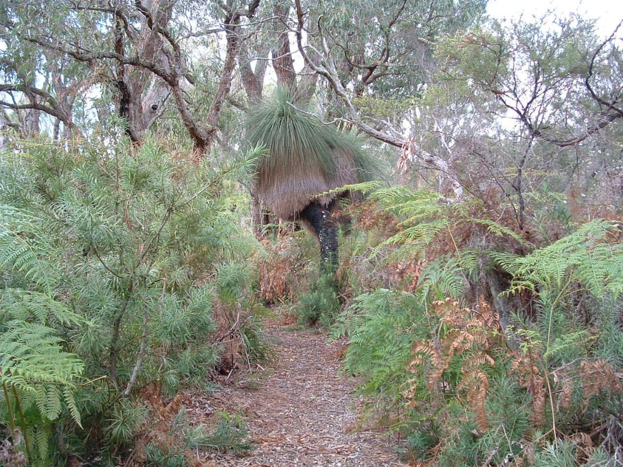 Yelverton Brook Conservation Sanctuary