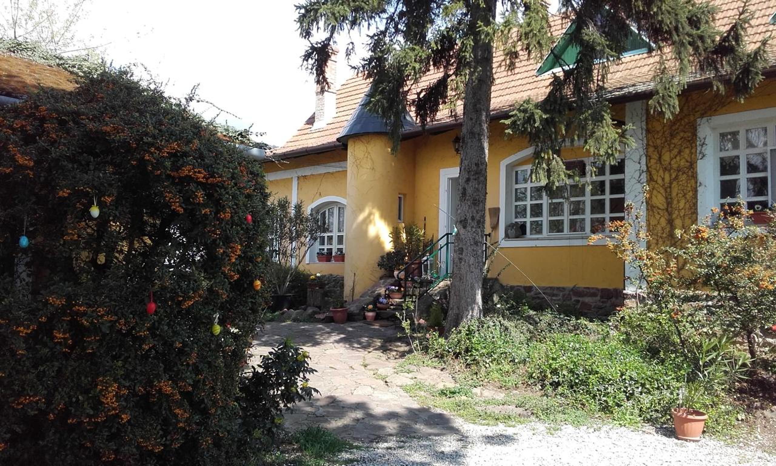 Photo 23
