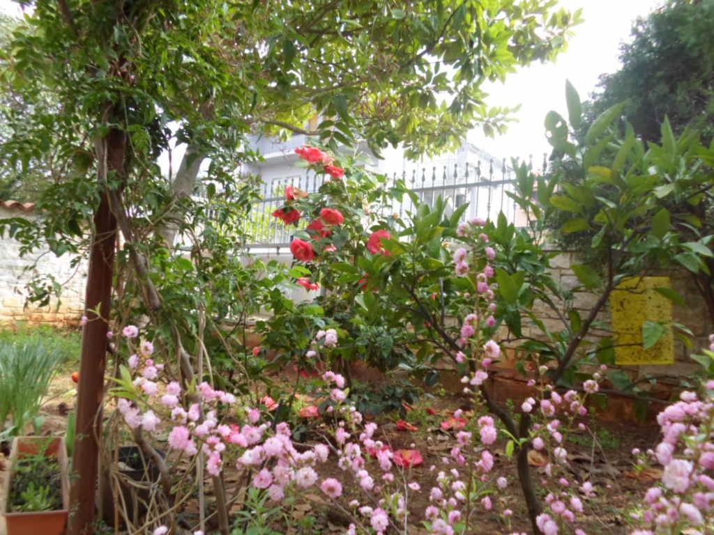 Apartments villa MaVeRo