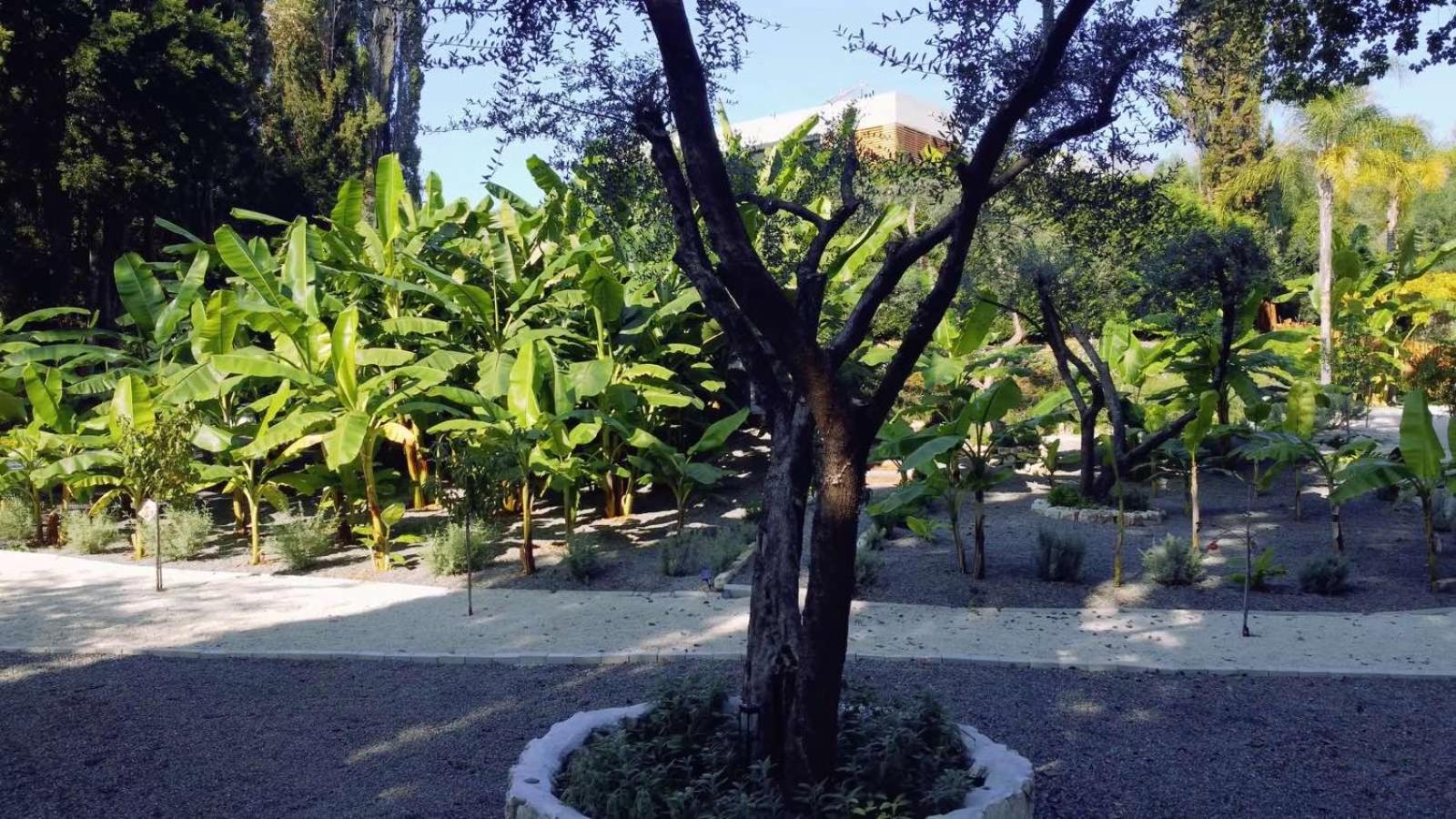 La Fortuna Villa - Award Winning Luxury Villa Close to Corfu Town