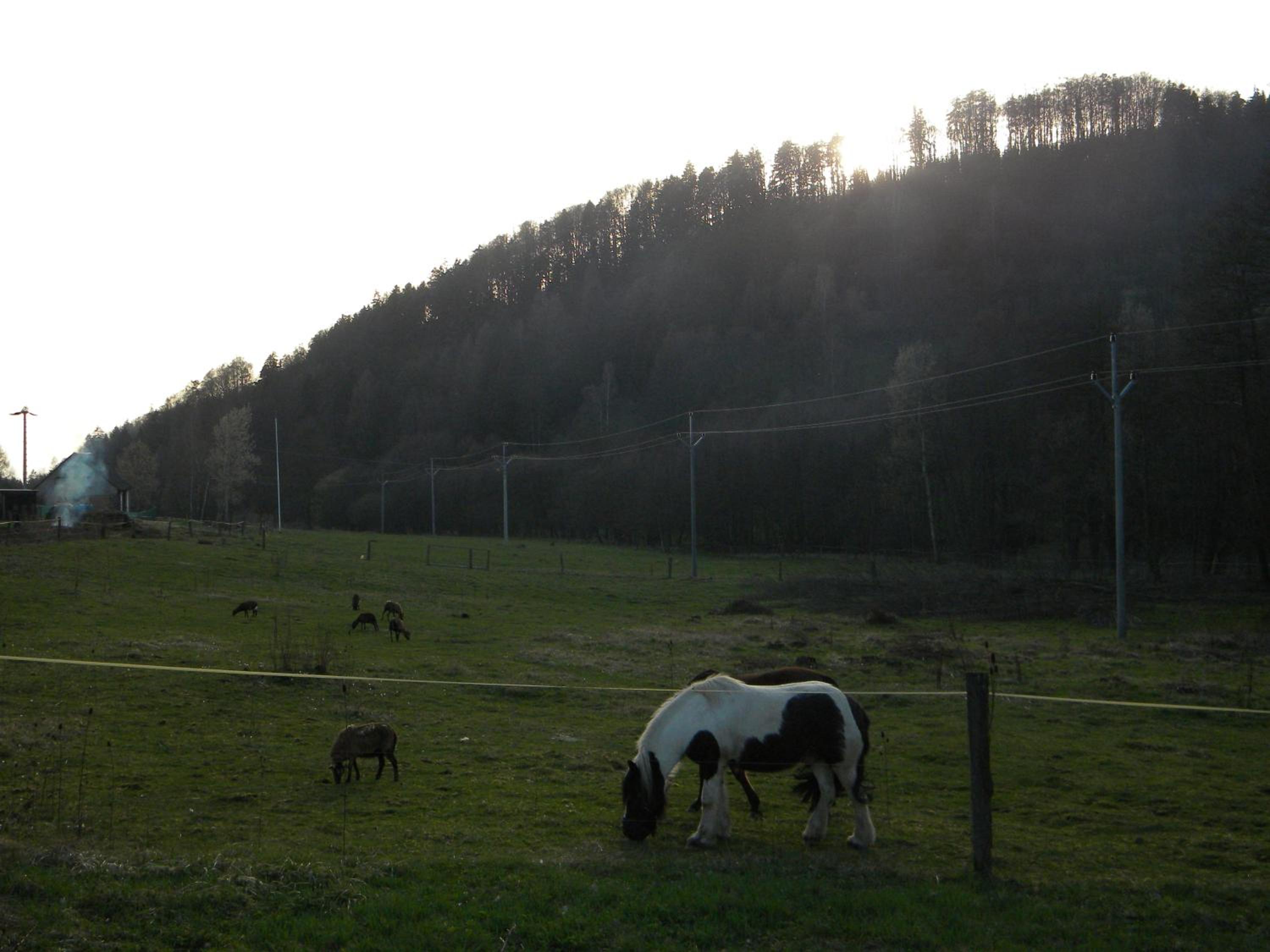 Photo 33