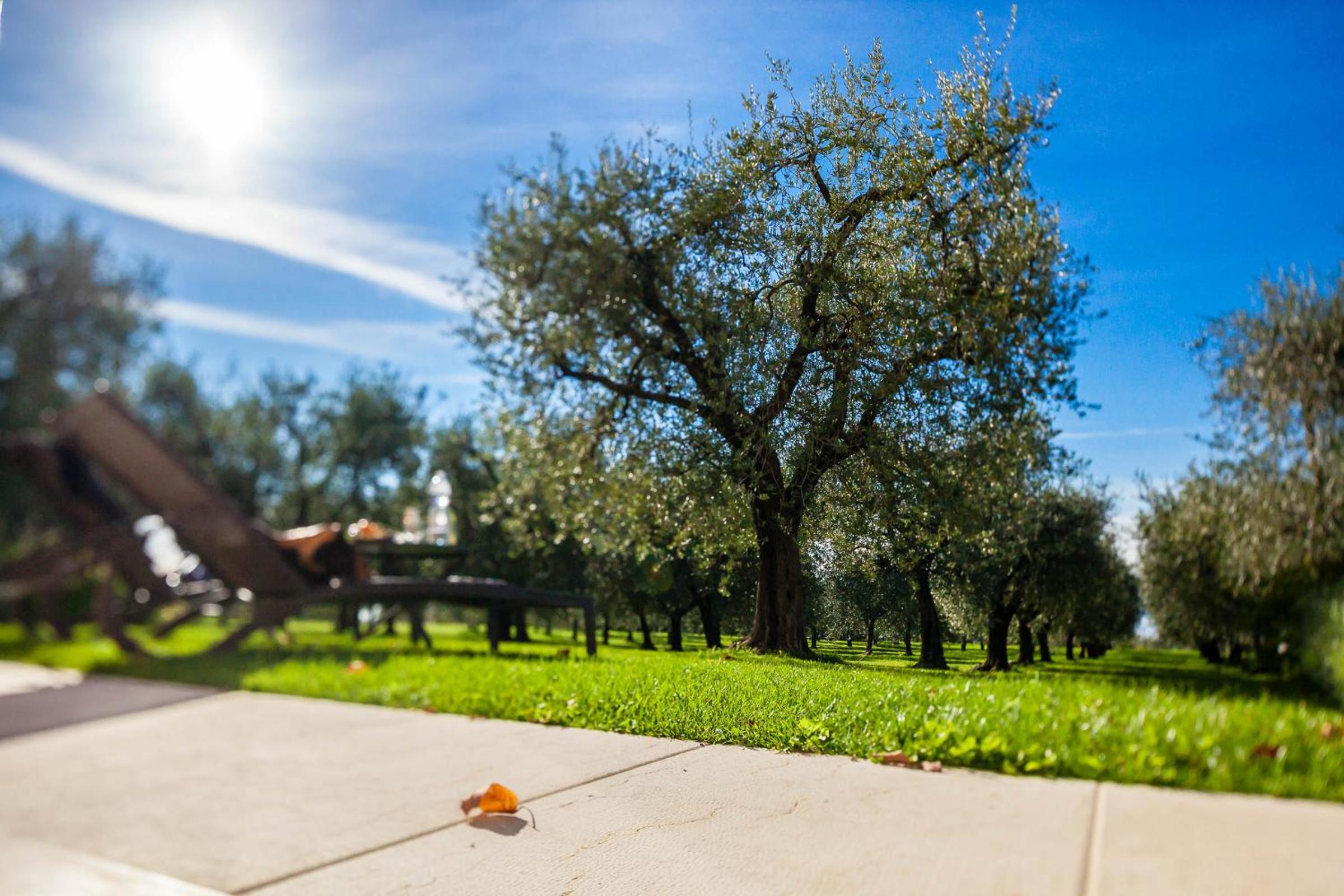 Quercia Belvedere Relais
