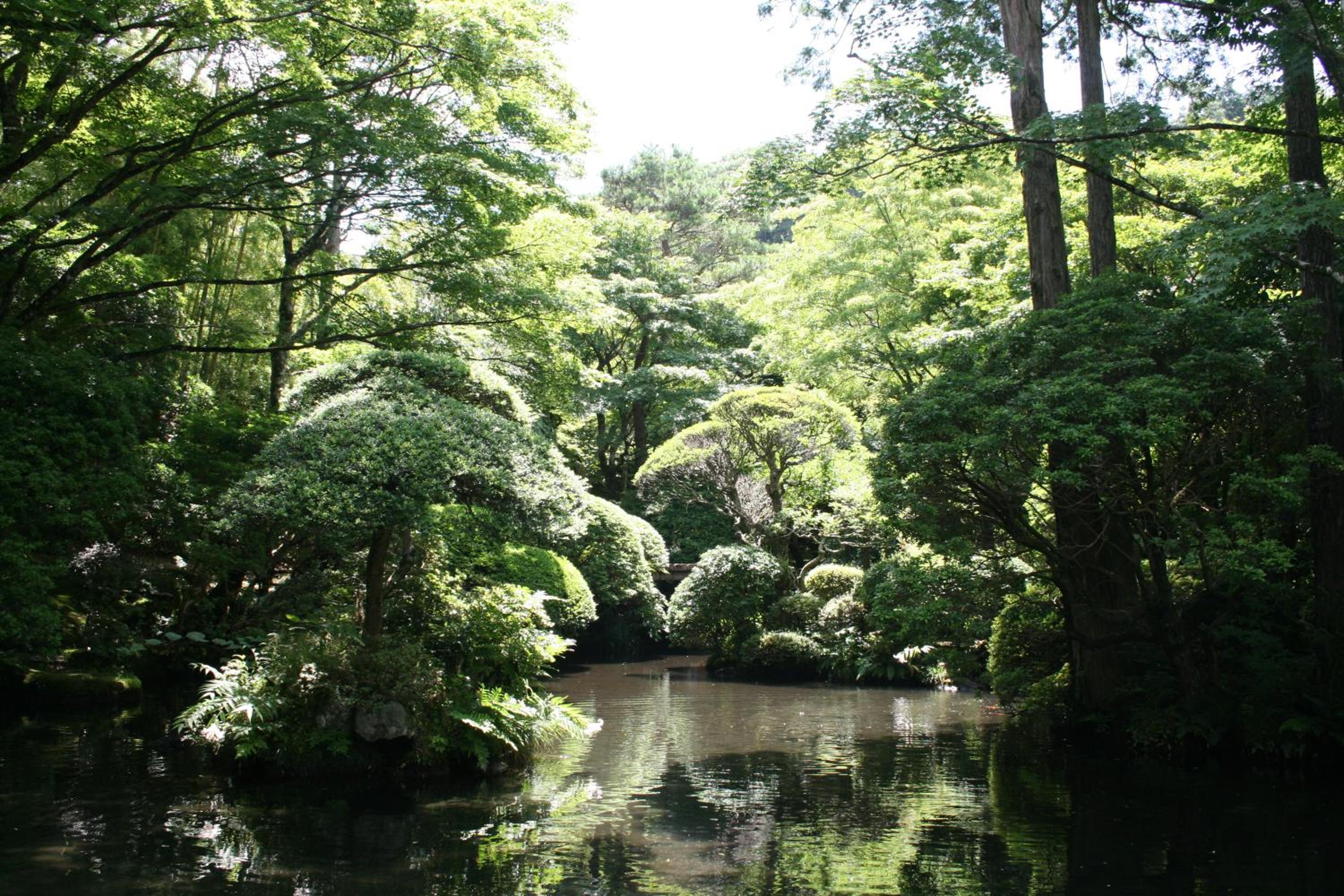 Senkyoro