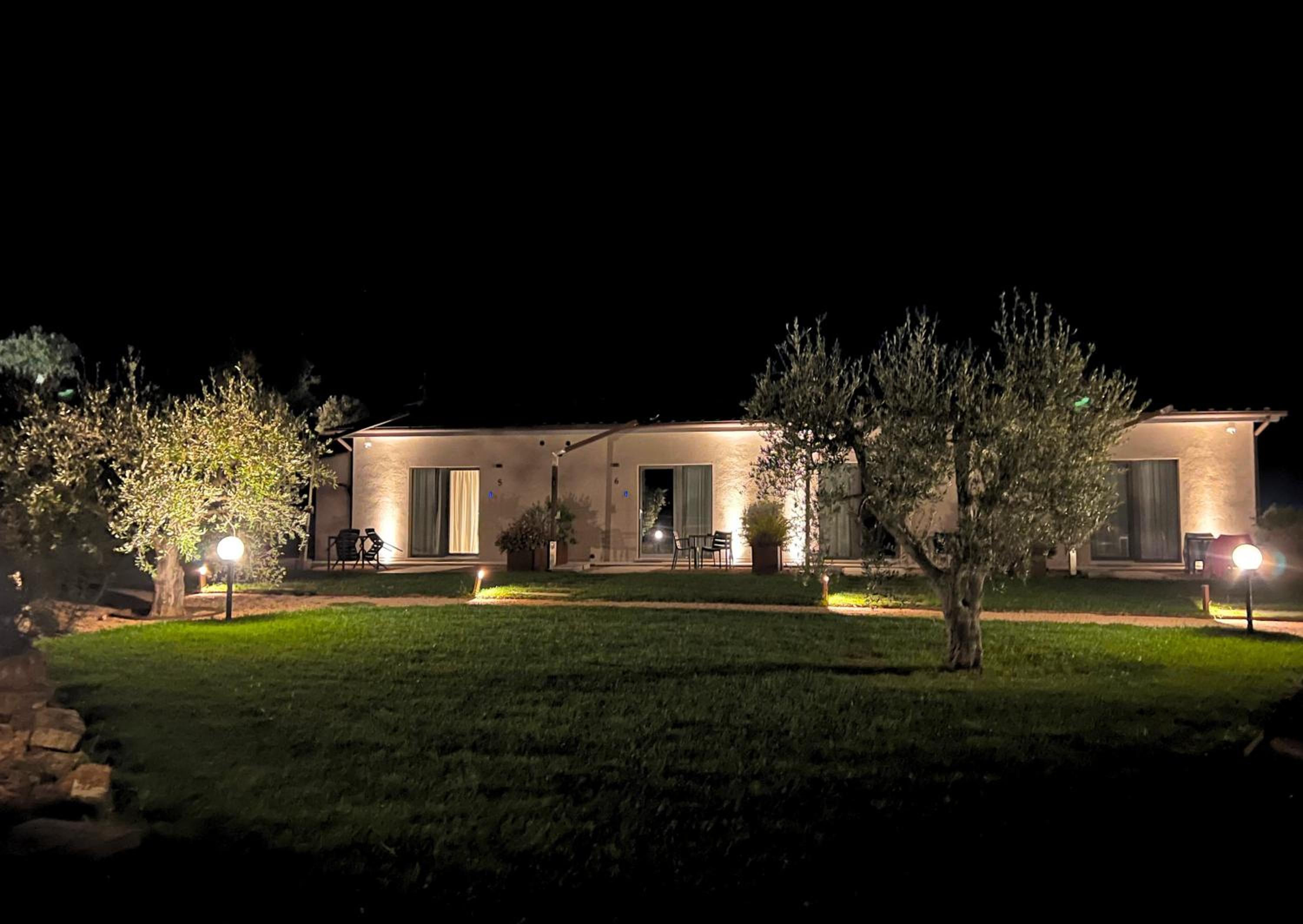 Photo 42