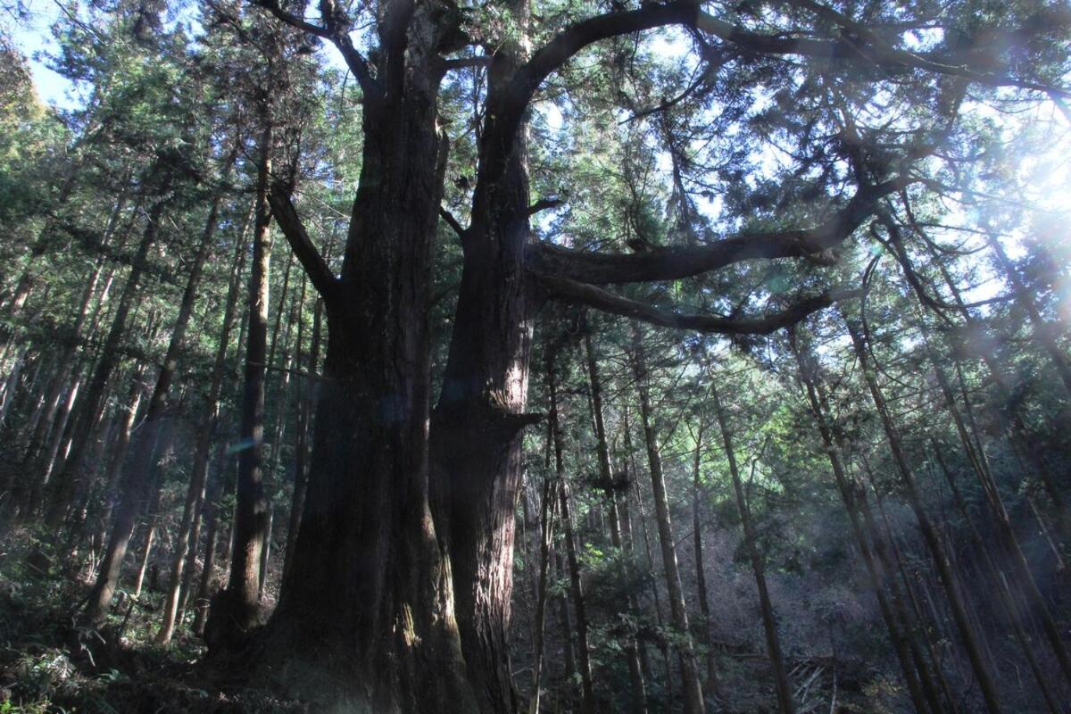 紡舎 - BO-SHA - - 古民家一棟貸しVilla
