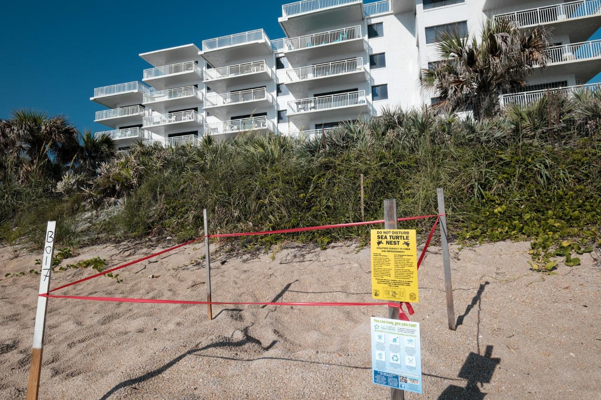 Large balcony with direct oceanfront views and access to complex pool
