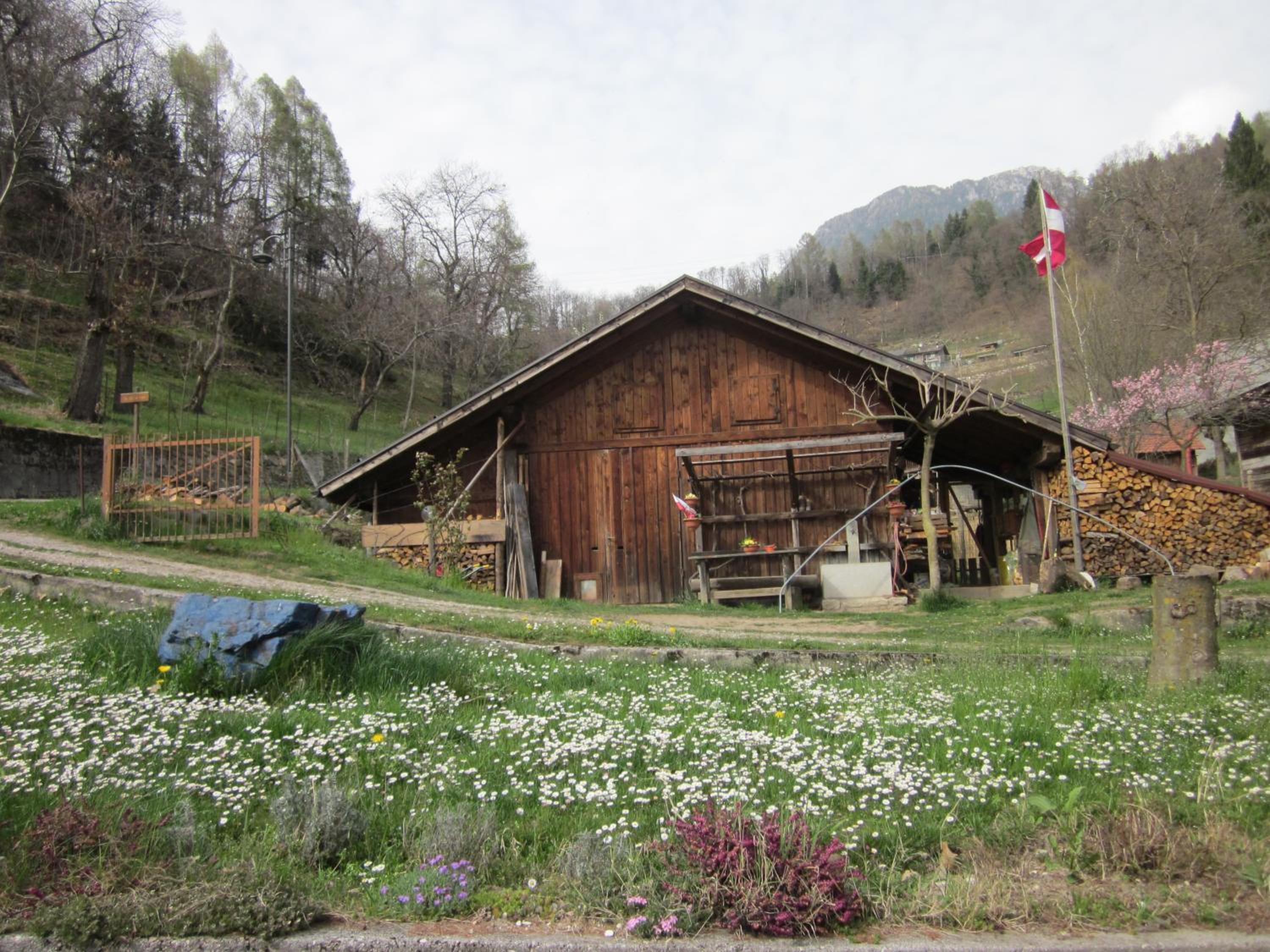 Photo 17