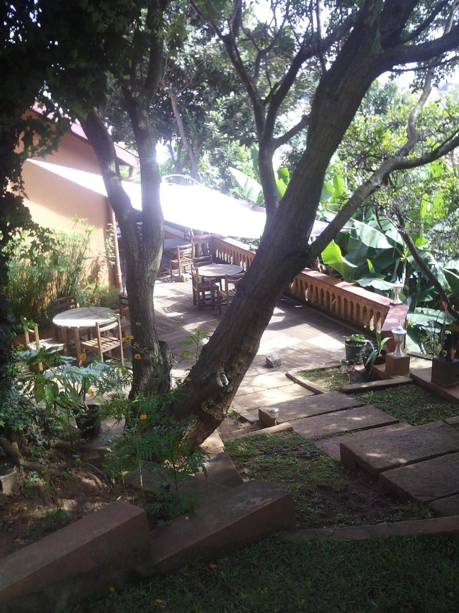 Photo 19