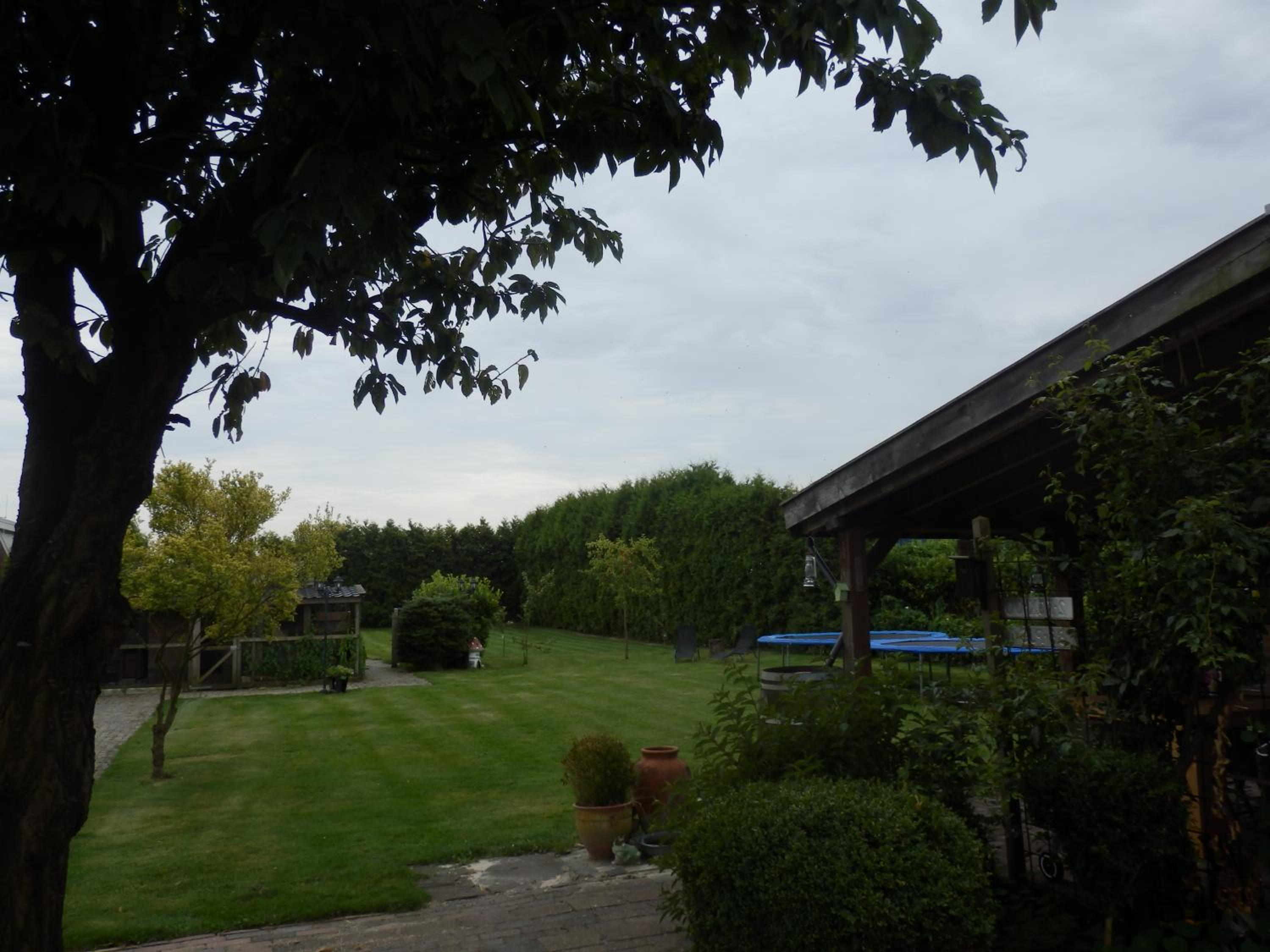 Photo 39