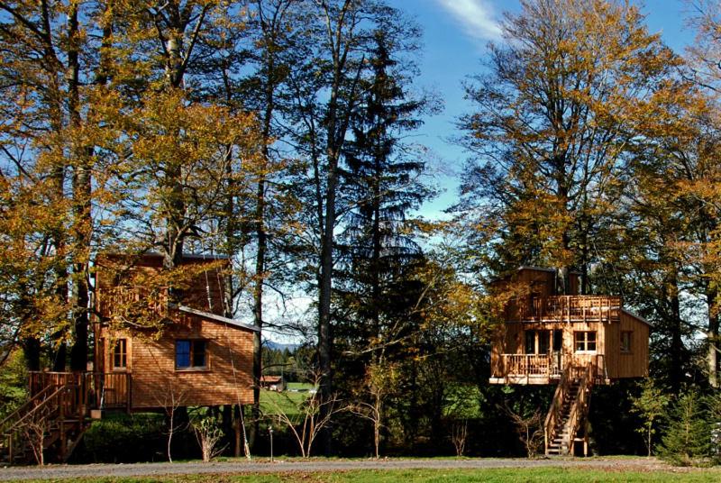 Ferienhof und Baumhaushotel
