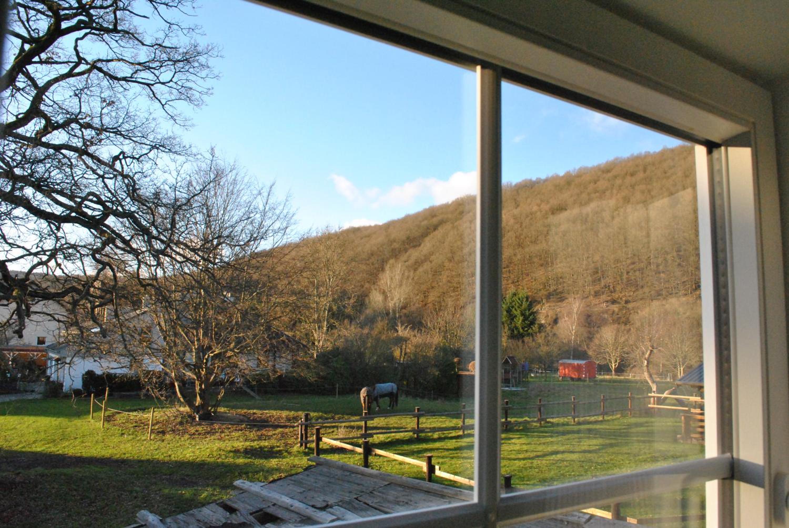 Ferienwohnungen Türmchen view 3