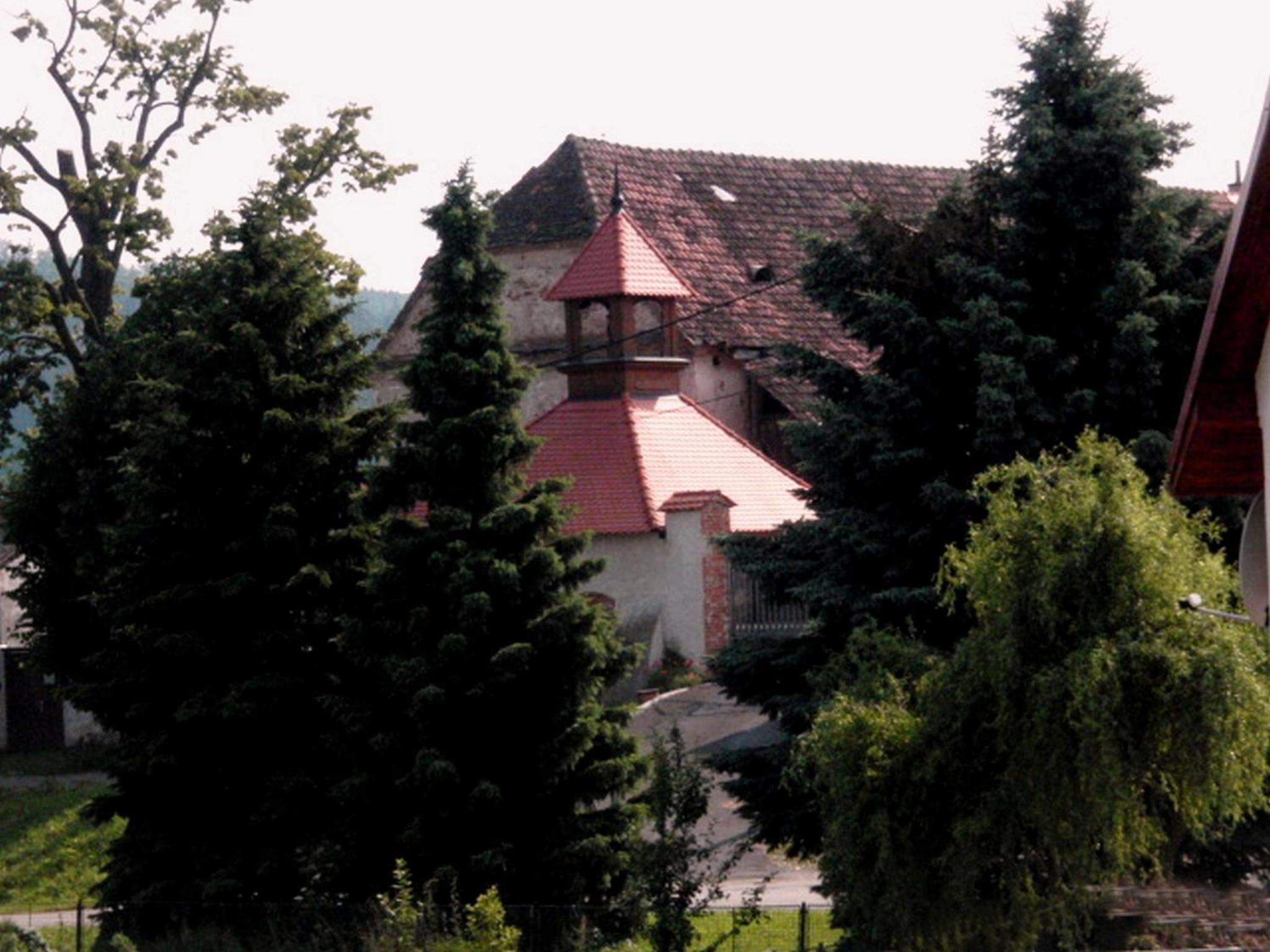 Photo 11