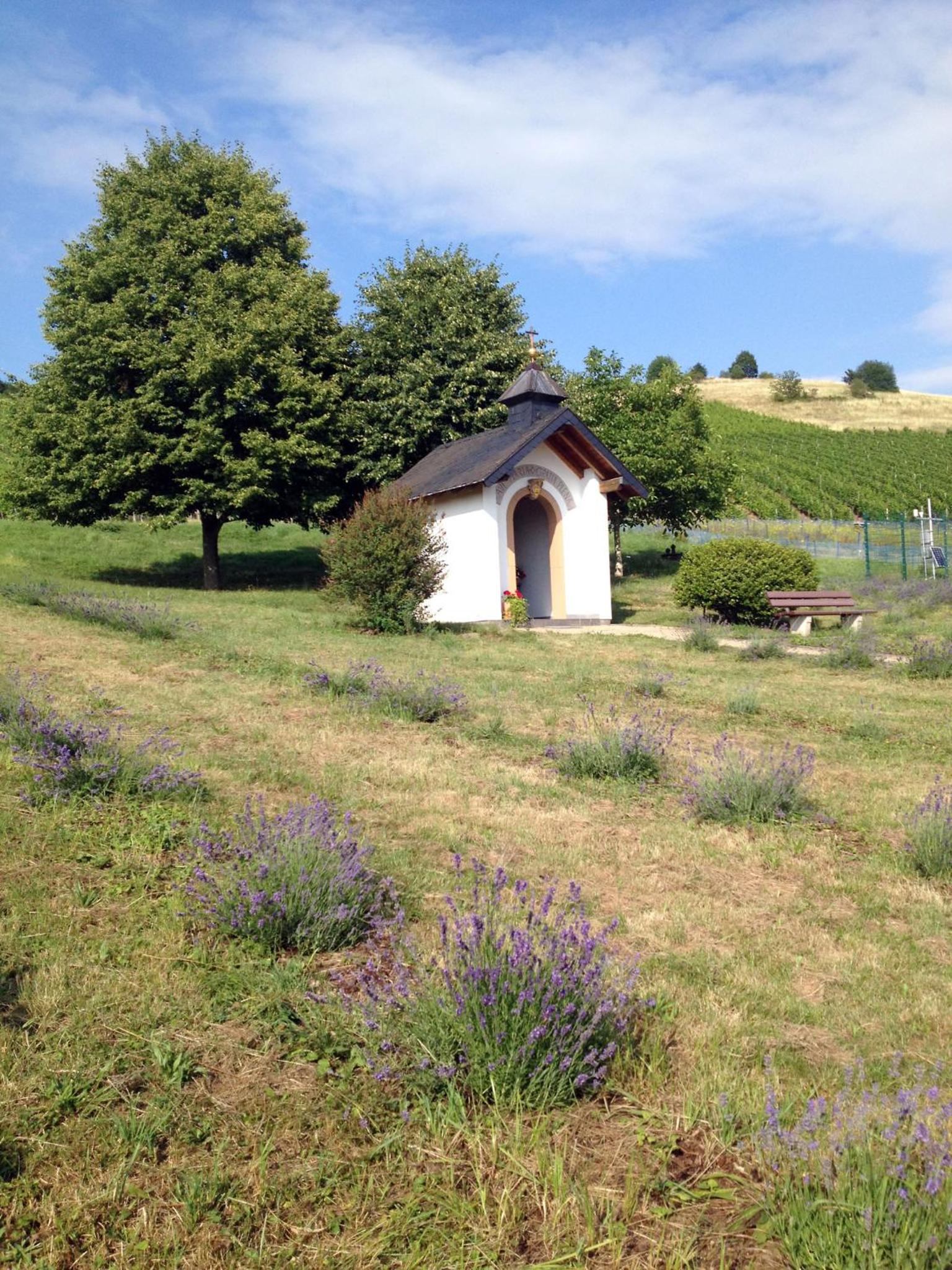 Photo 42