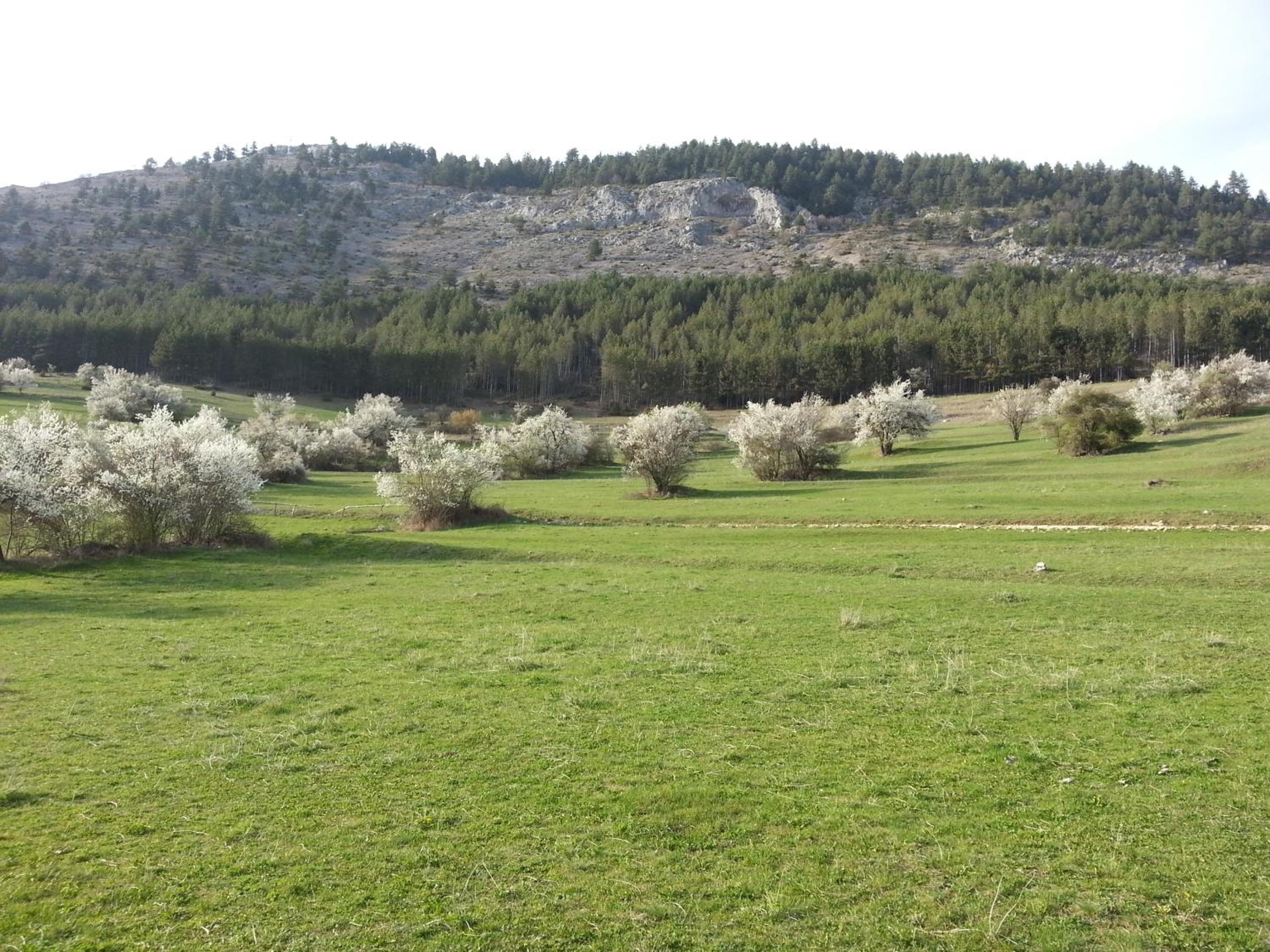 Guest House Stoletnika