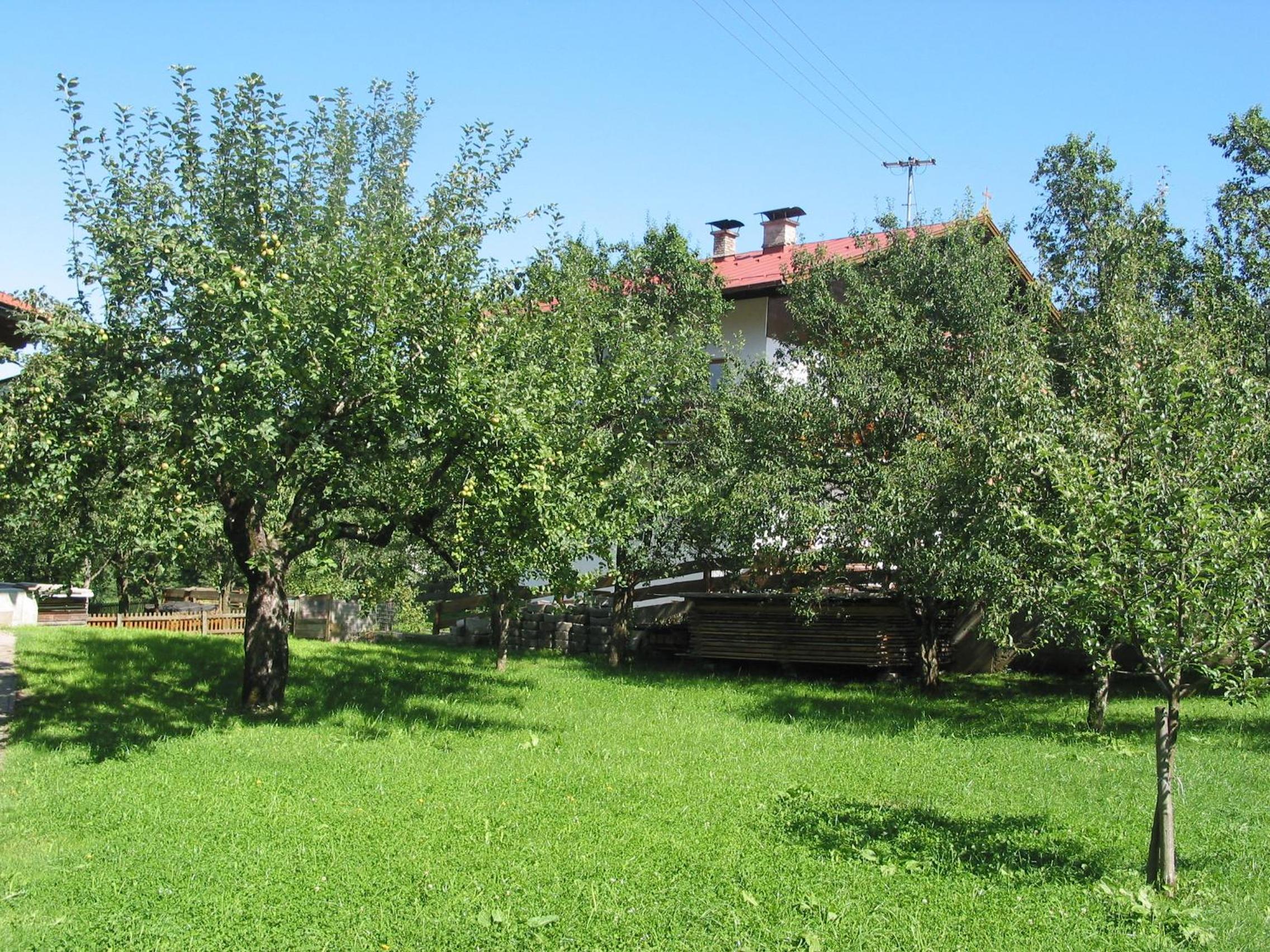 Haus Seiwald view 5