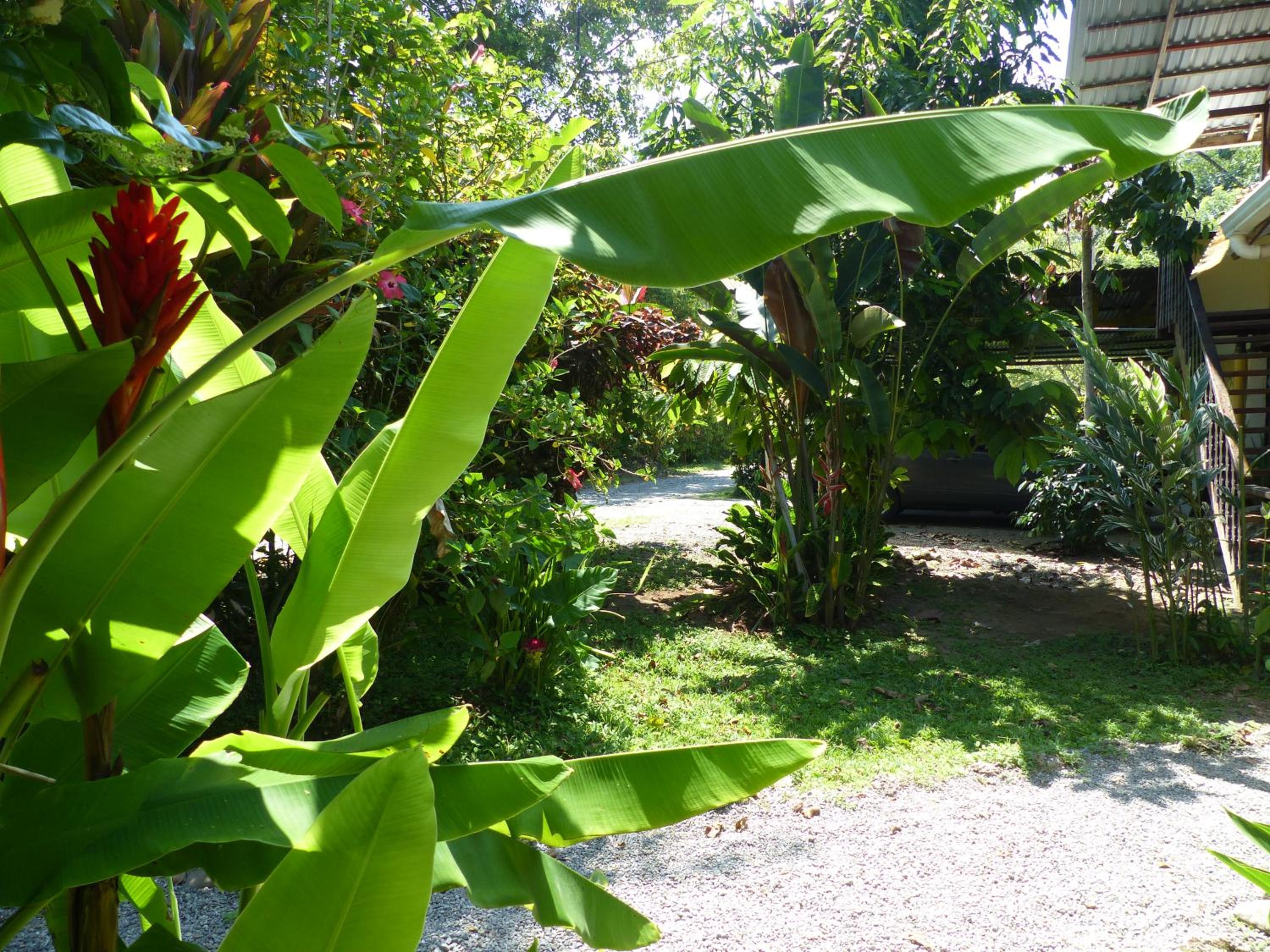 Cabinas Montesol view 2