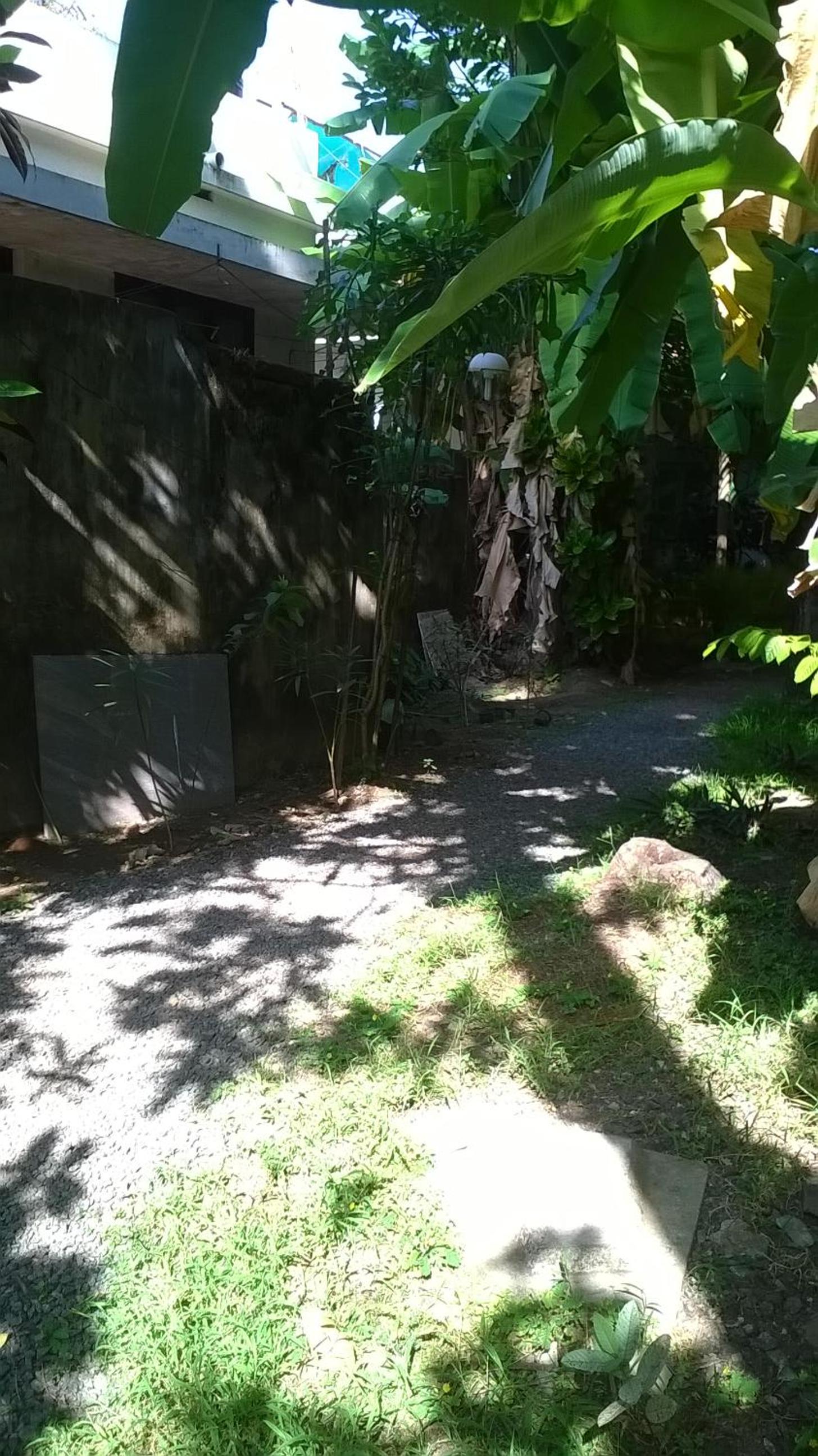Photo 31