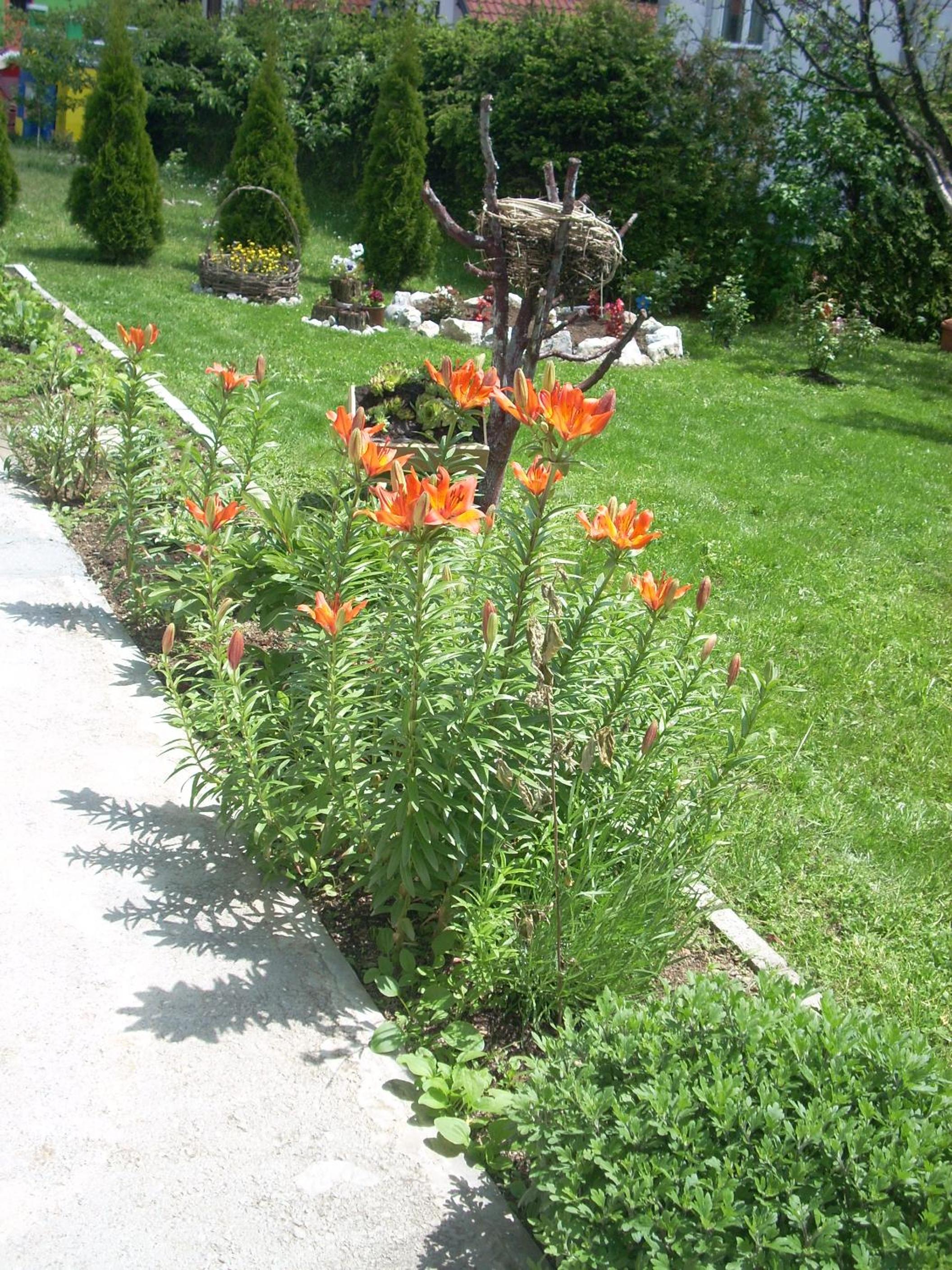 Photo 19
