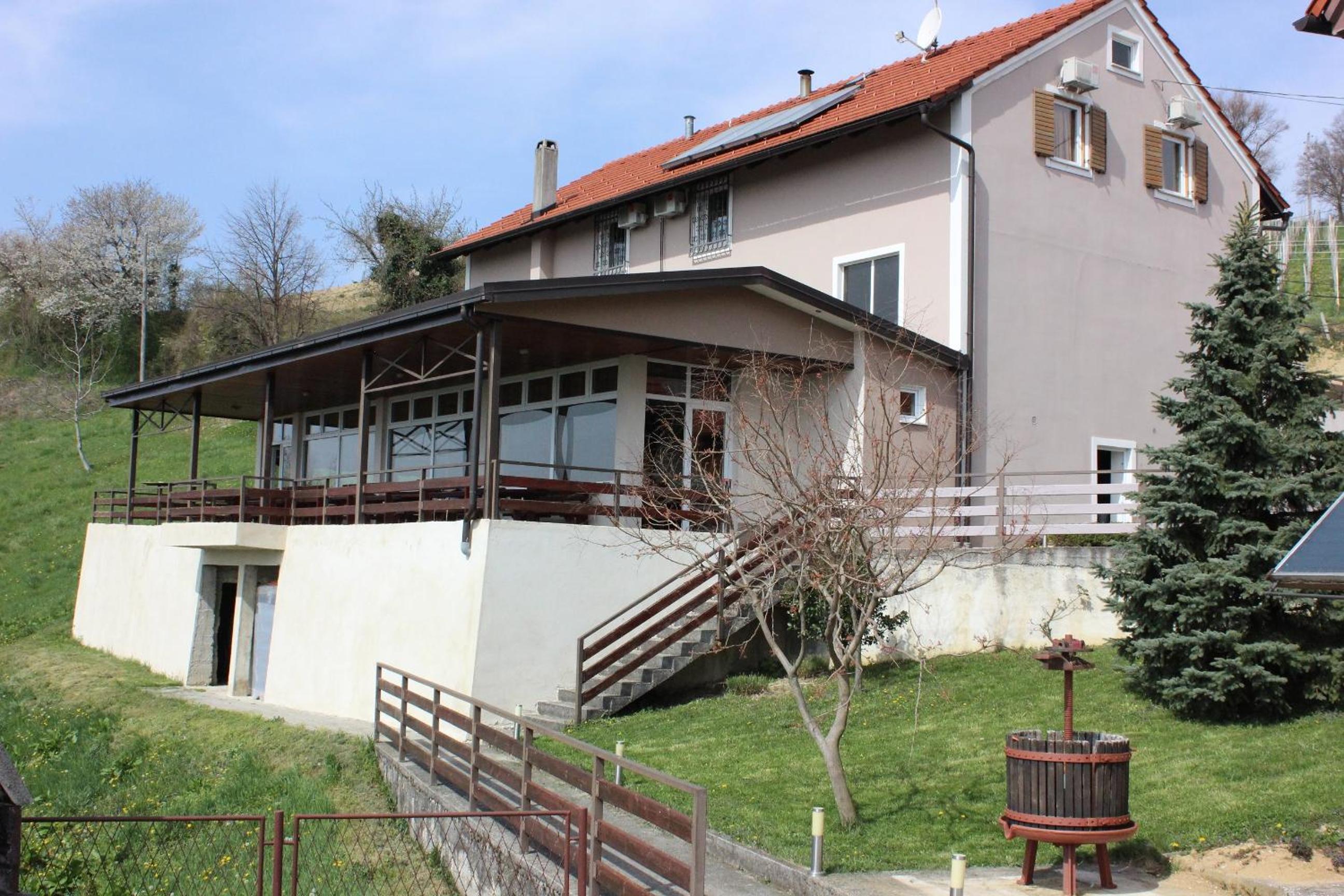 Guesthouse Režekov podrum view 4