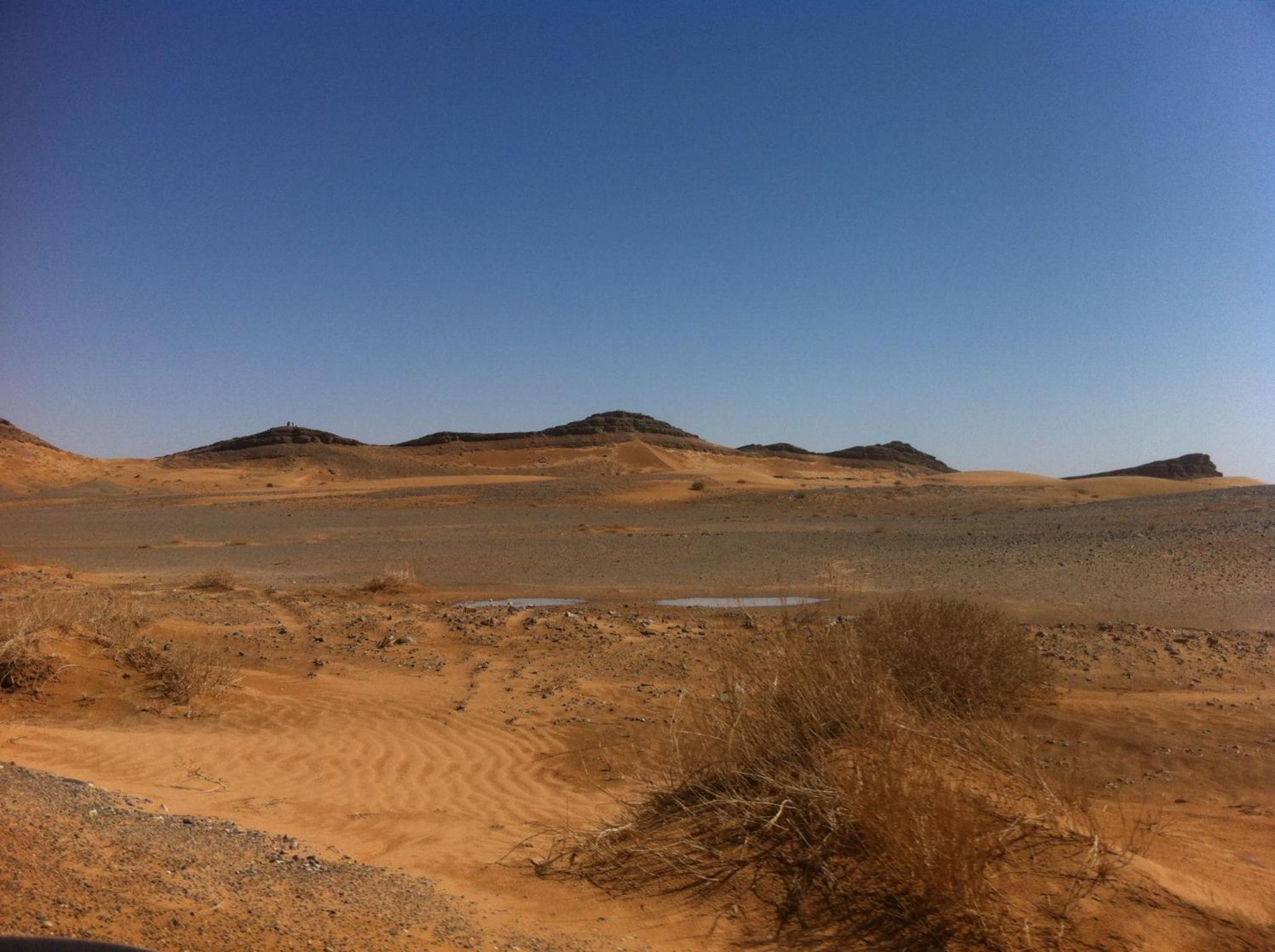 Photo 25