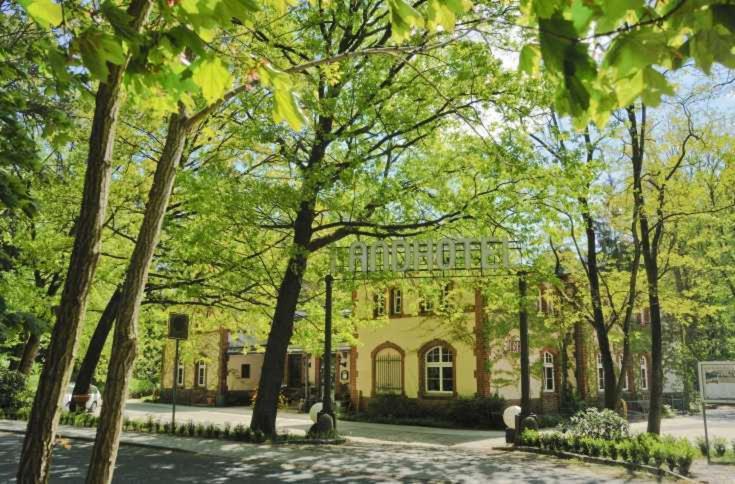 Landhotel Gustav - Property Image 11