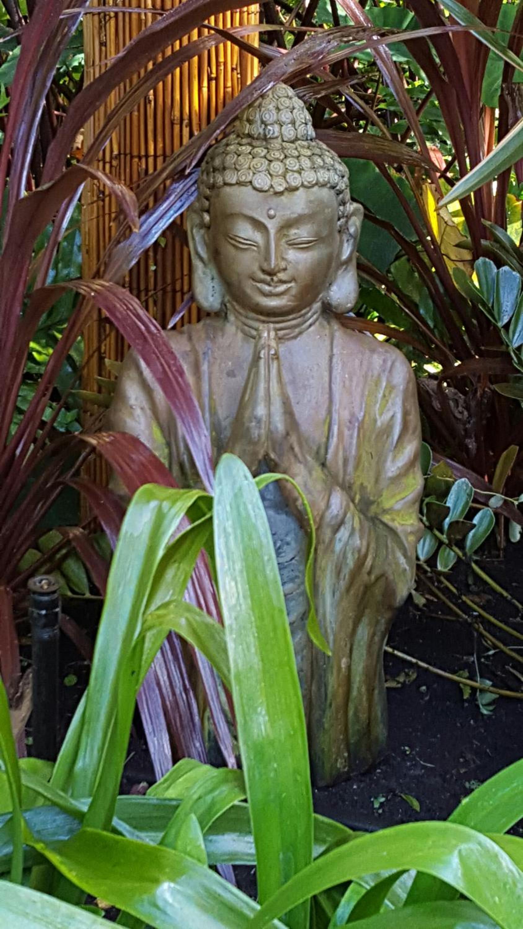 Albany Vacations - Albany Bali Style Accommodation - Property Image 9