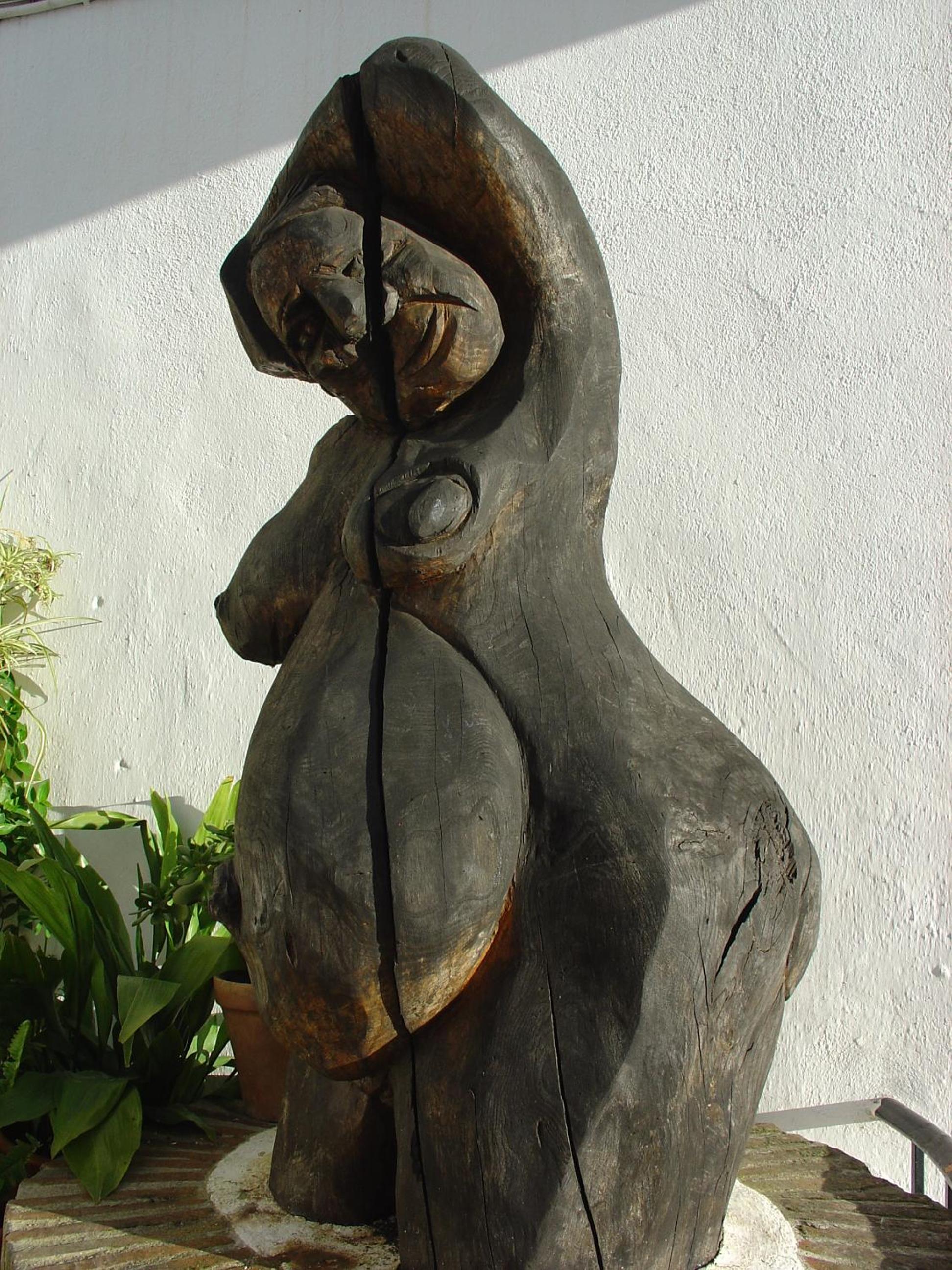 Photo 57