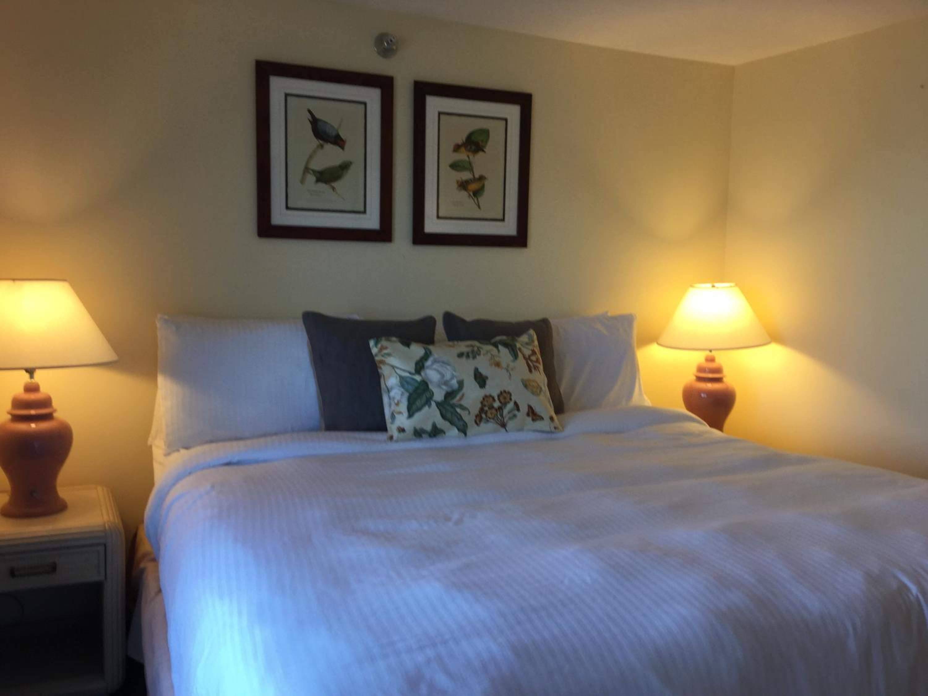 The Beach Rose Inn - Property Image 4